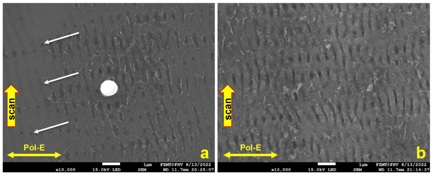 Micromachines 15 01161 g005