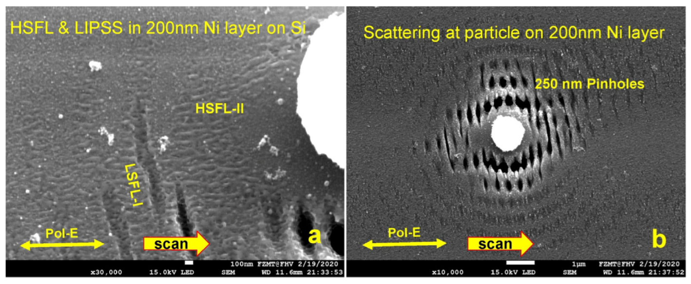 Micromachines 15 01161 g010