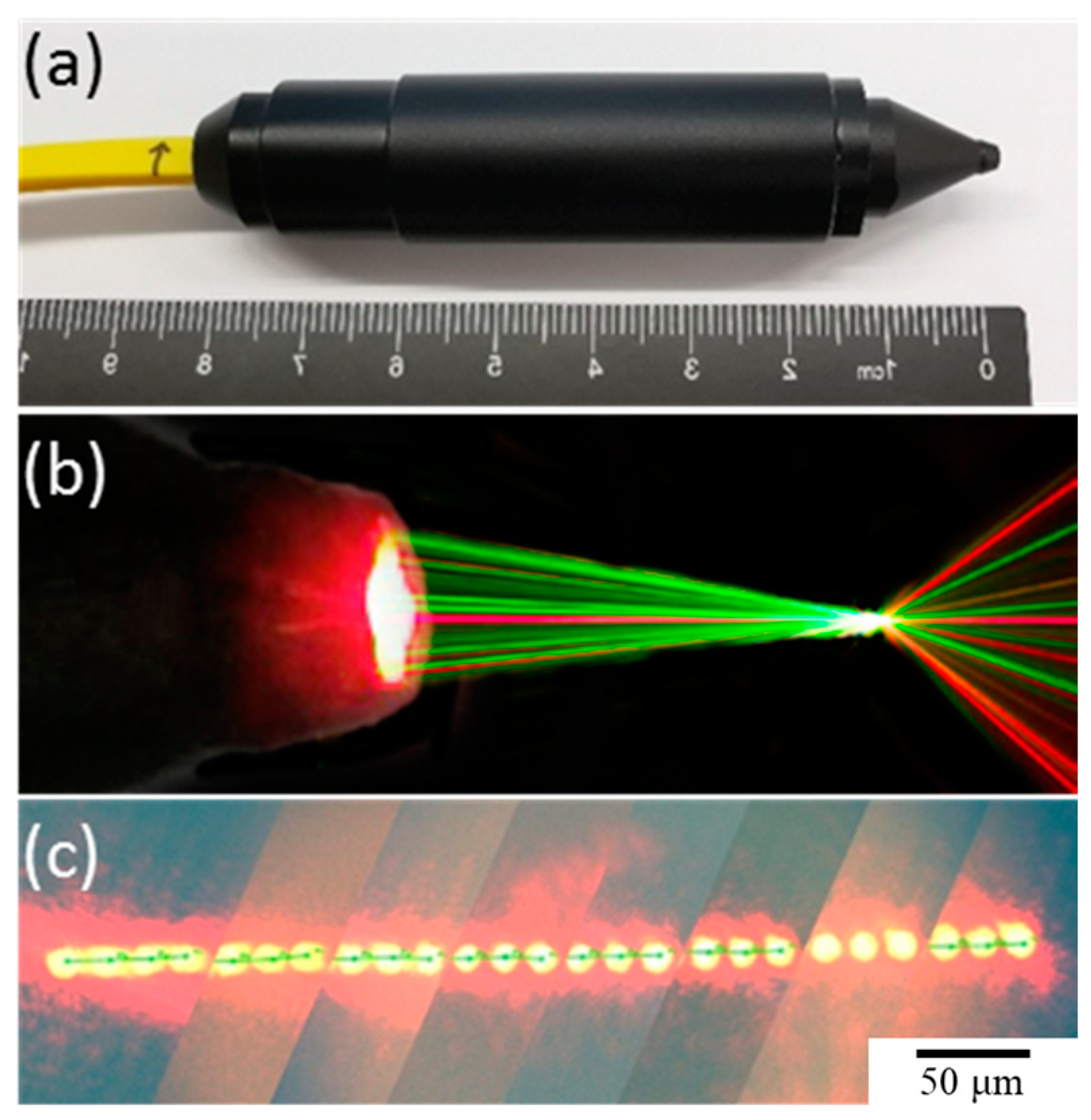 Micromachines 15 01165 g006