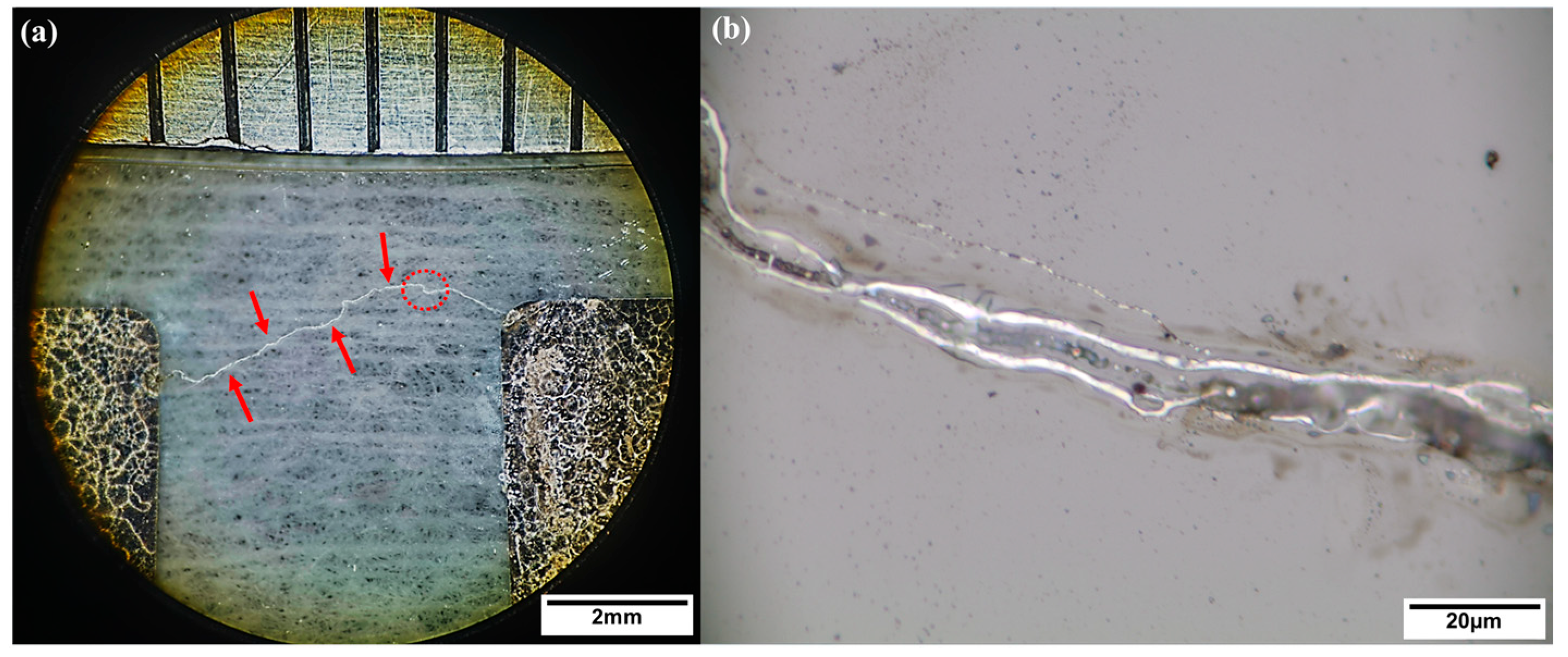 Micromachines 15 01178 g009