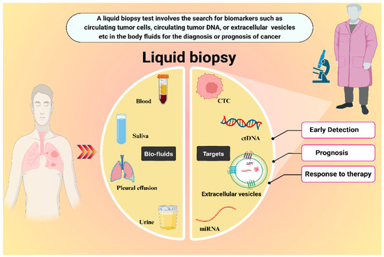 Nanoscale Extracellular Vesicle-Enabled Liquid Biopsy
