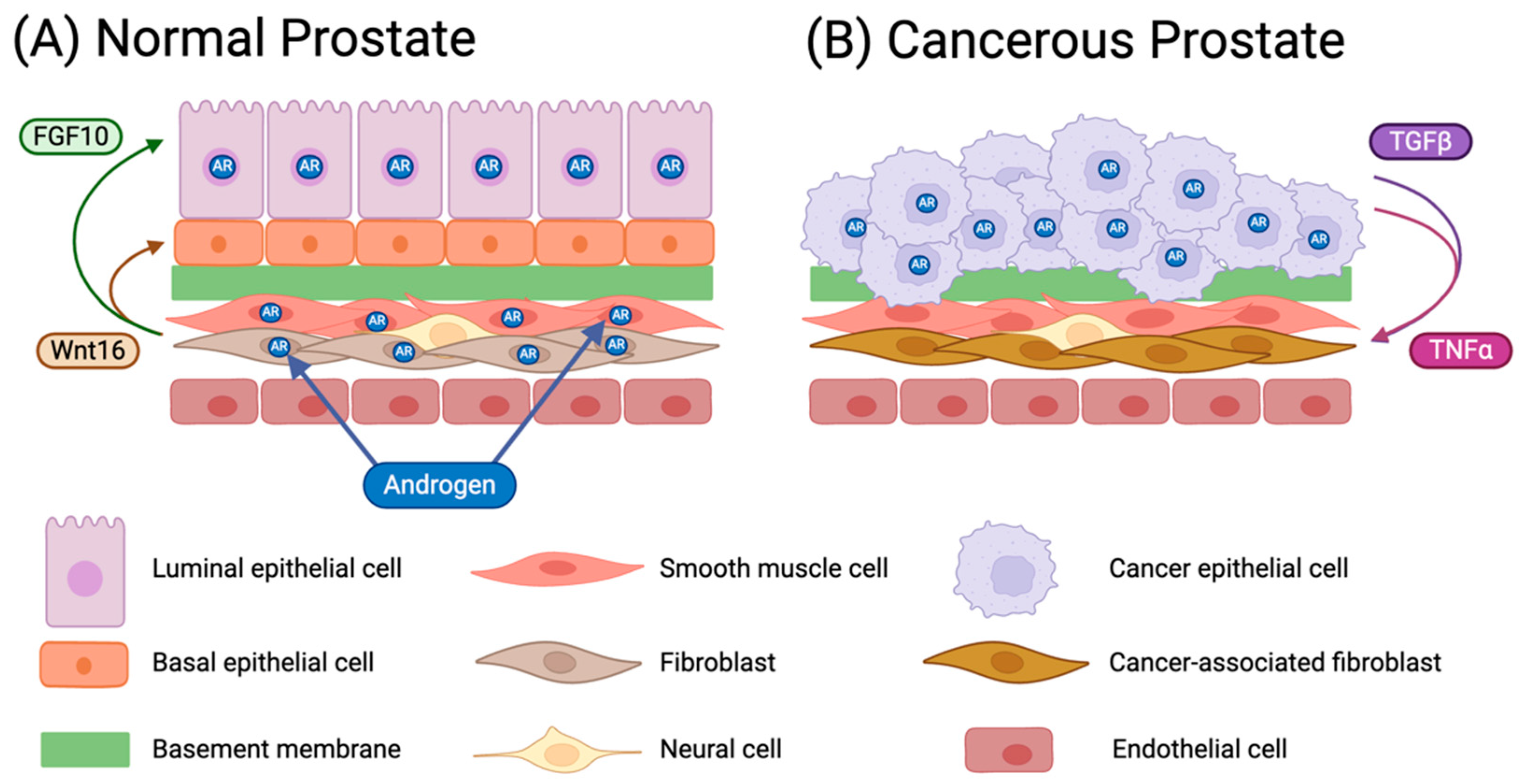 Micromachines 15 01195 g001