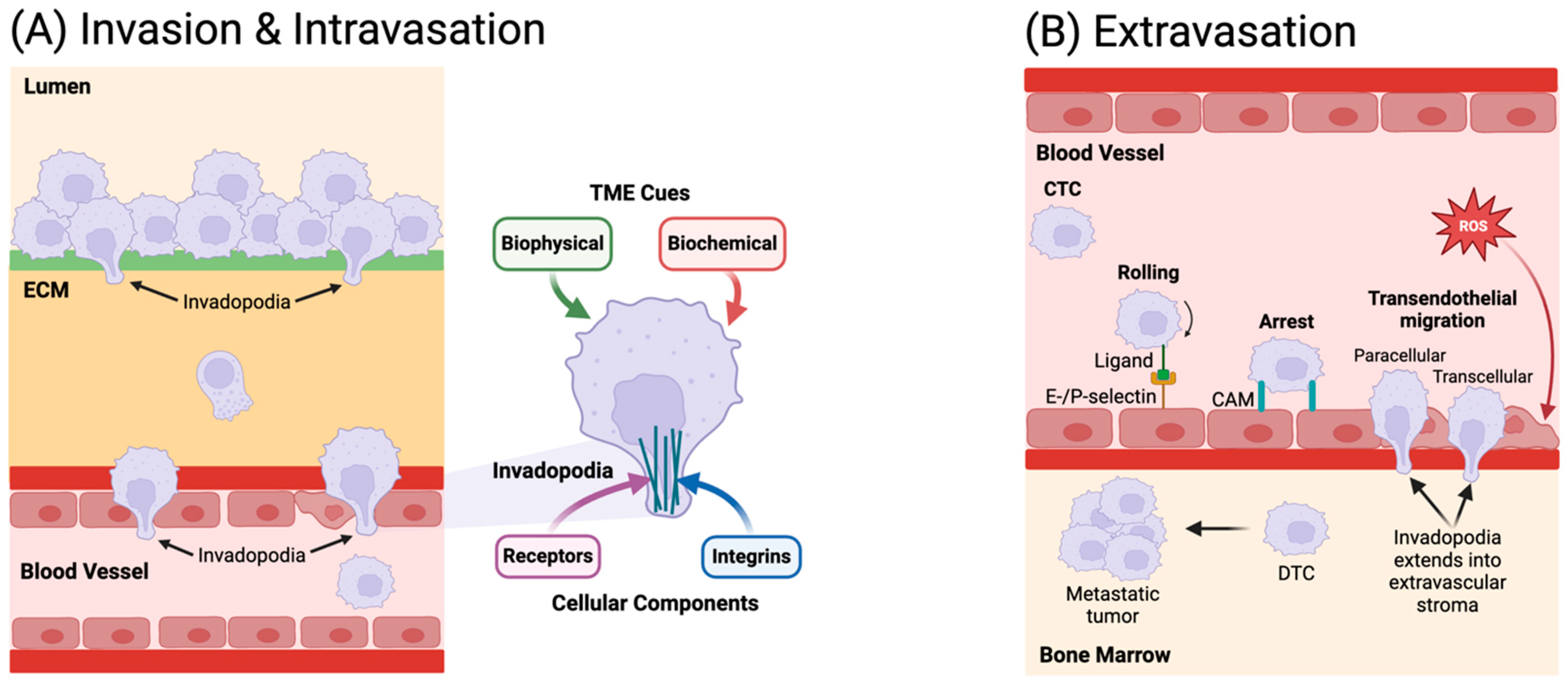 Micromachines 15 01195 g002