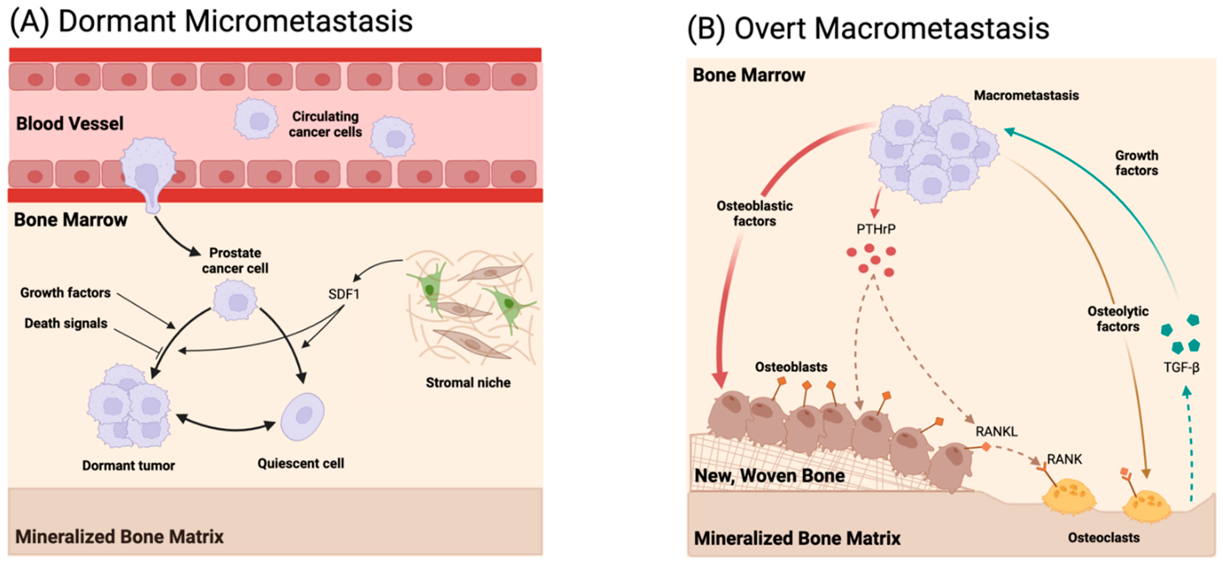 Micromachines 15 01195 g003