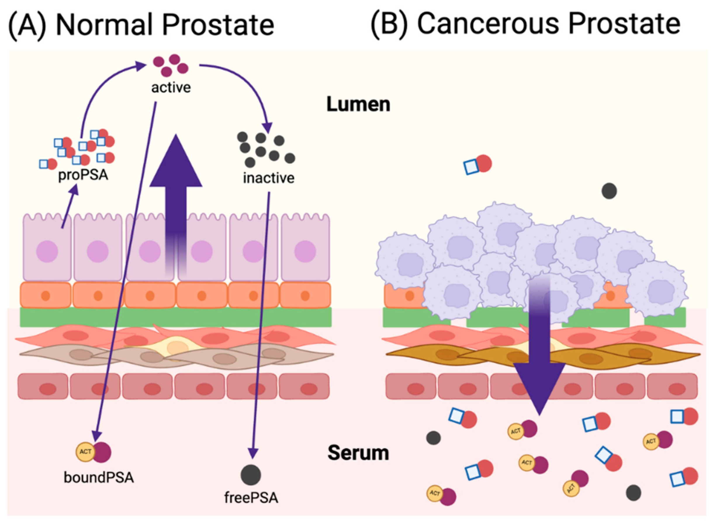 Micromachines 15 01195 g004
