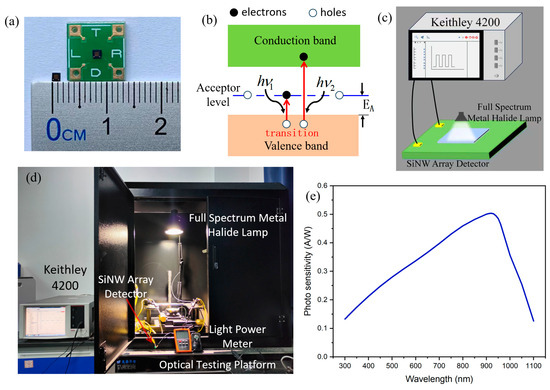ＡＩ Identification of Potent, Broad-Spectrum Coronavirus Main