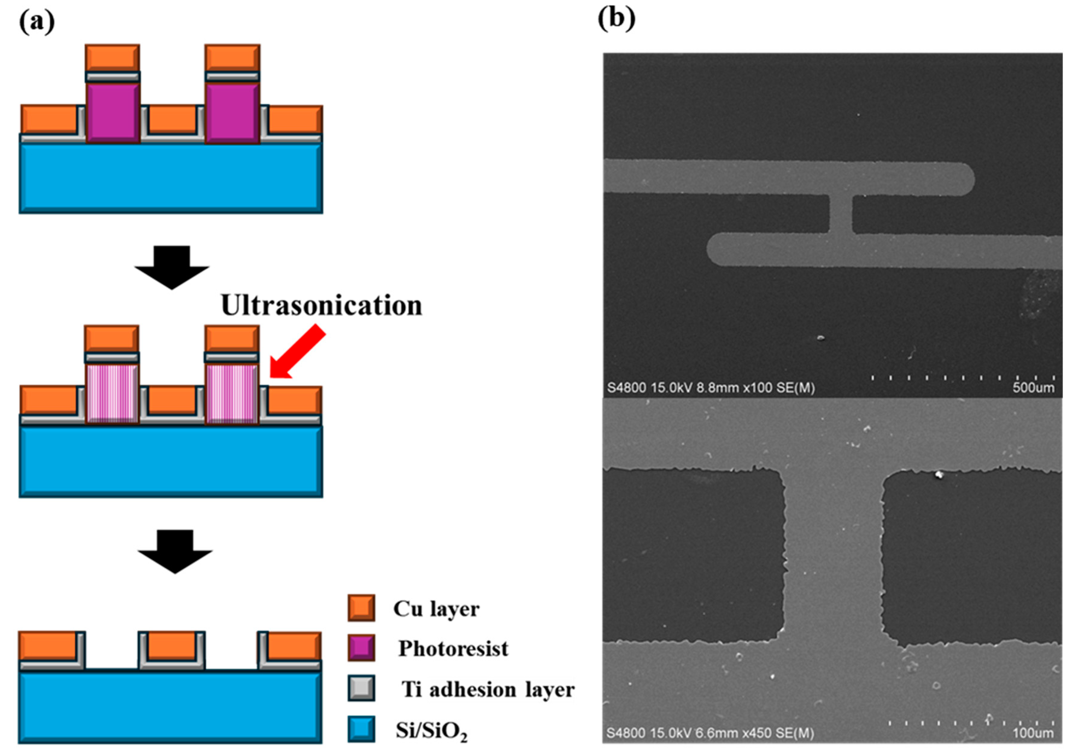 Micromachines 15 01207 g002