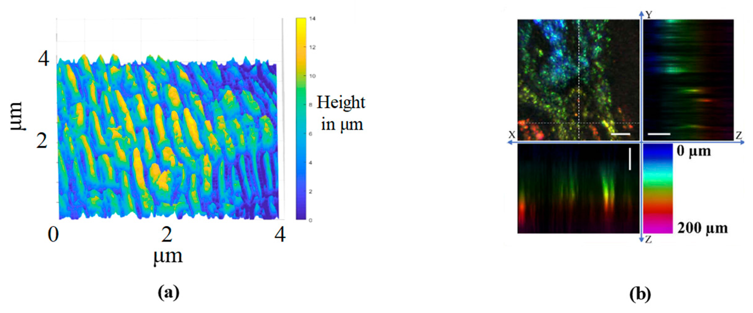 Micromachines 15 01224 g013 Micromachines 15 01224 g013
