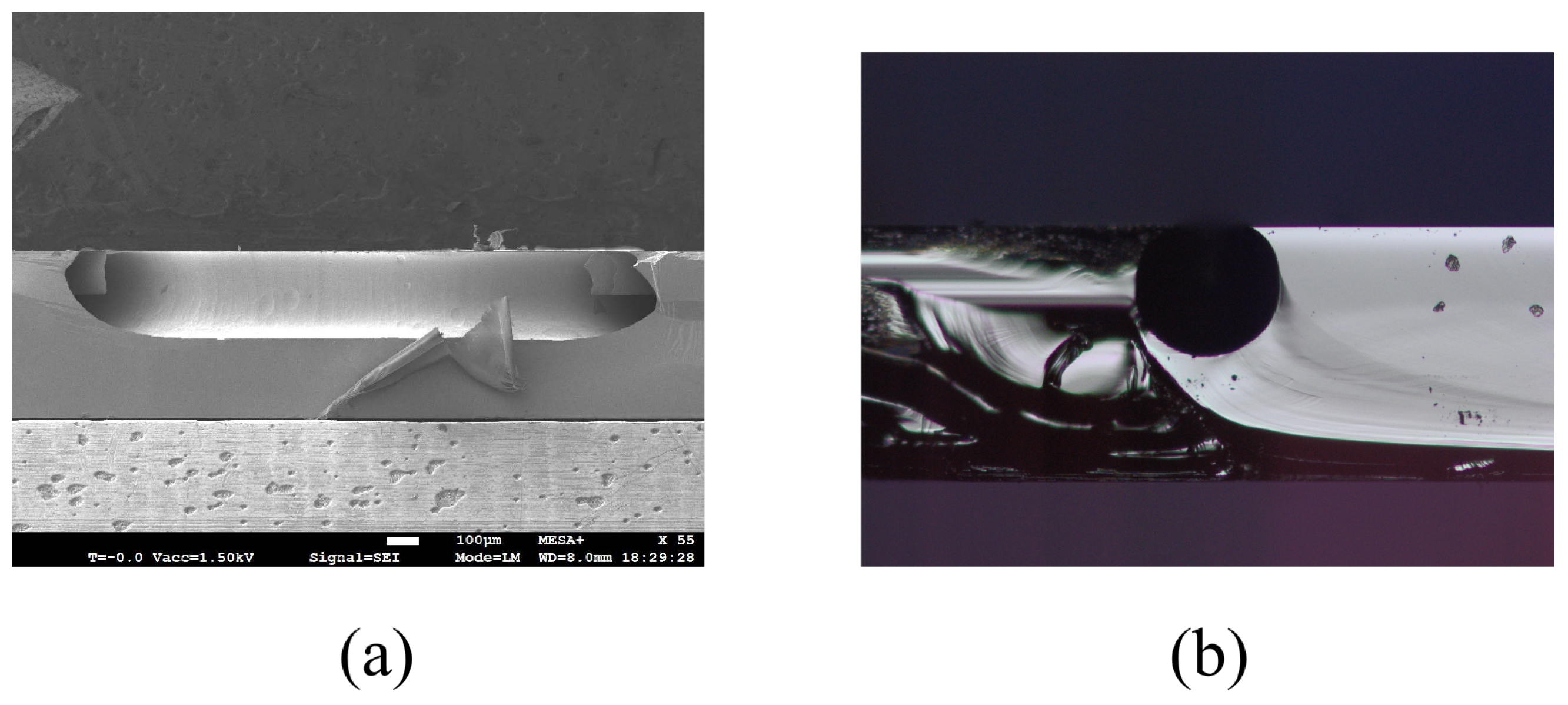 Micromachines 15 01230 g009