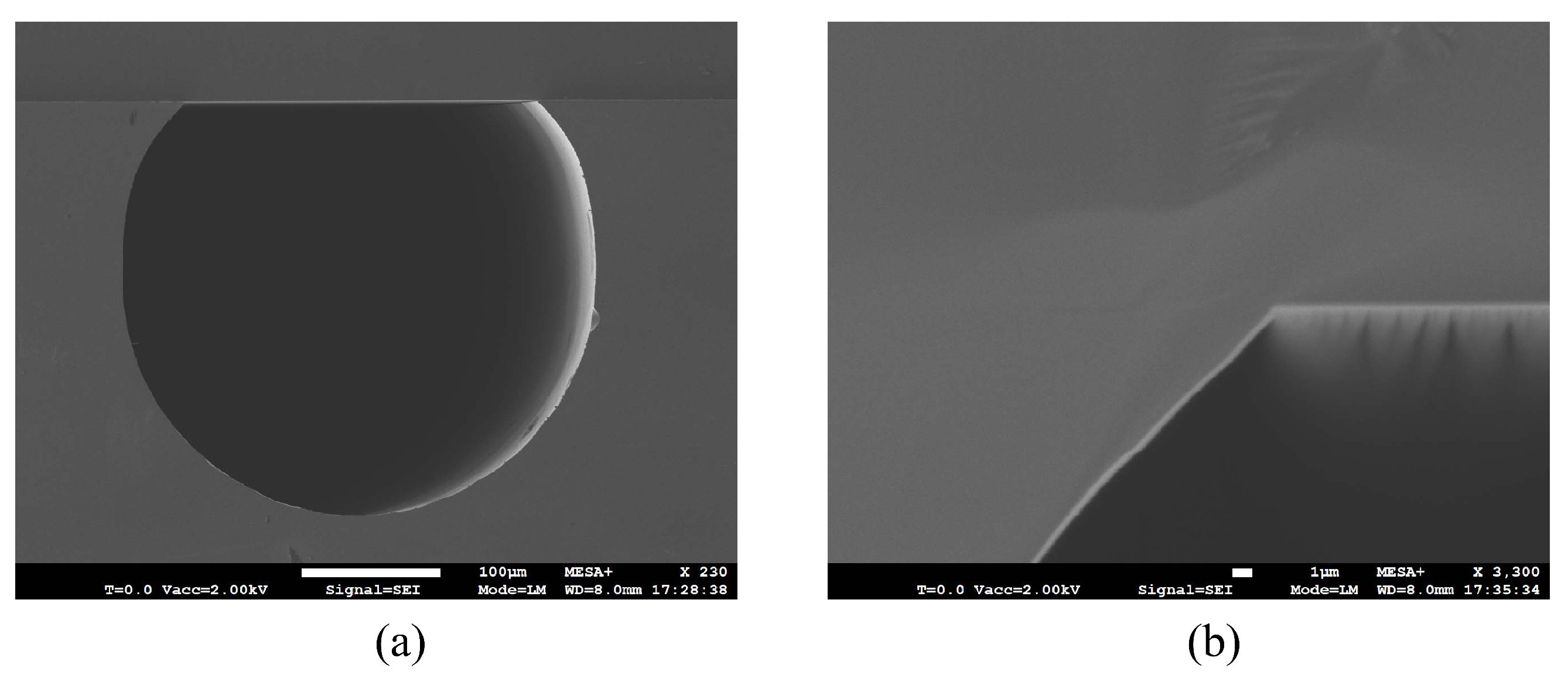 Micromachines 15 01230 g012