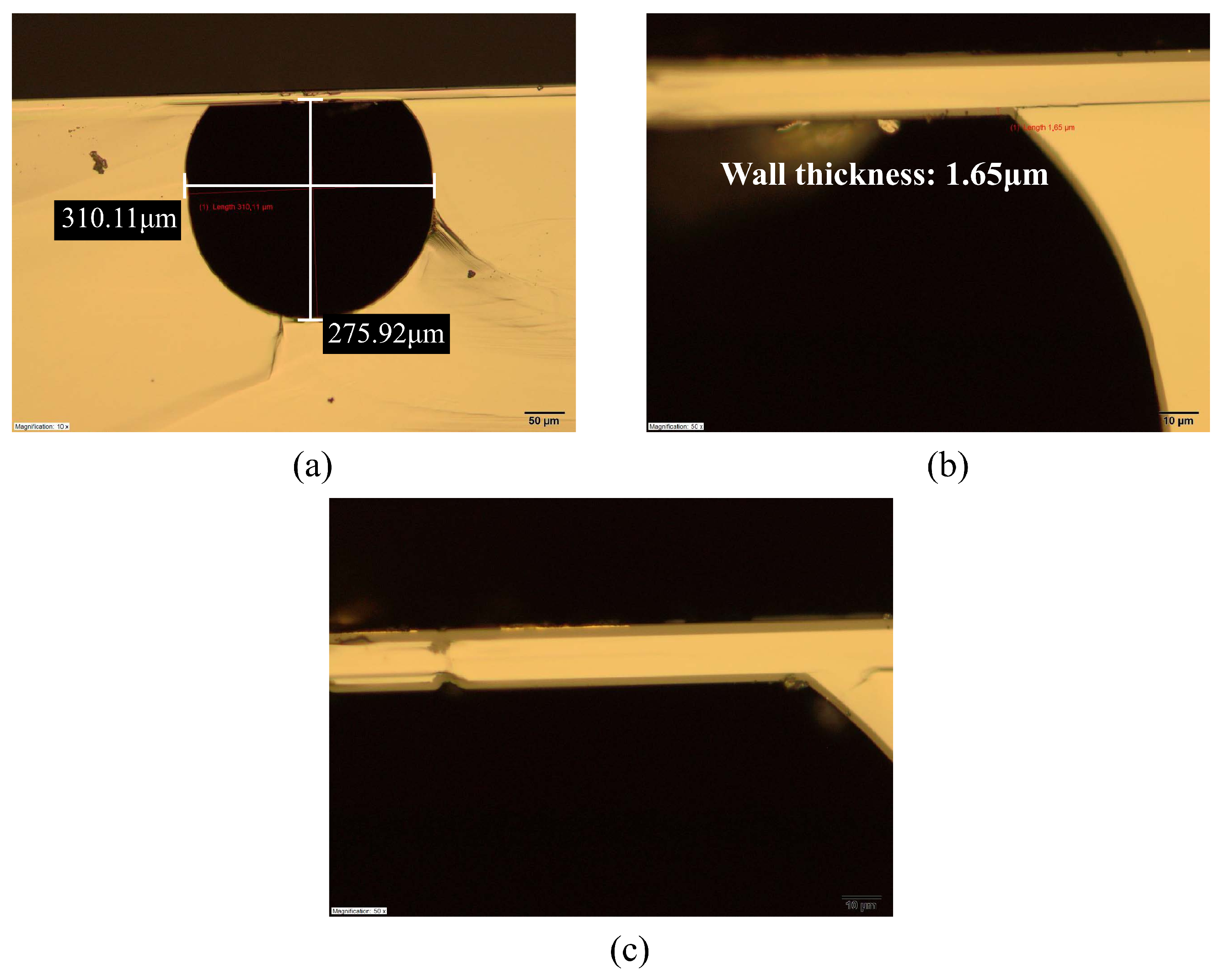 Micromachines 15 01230 g015