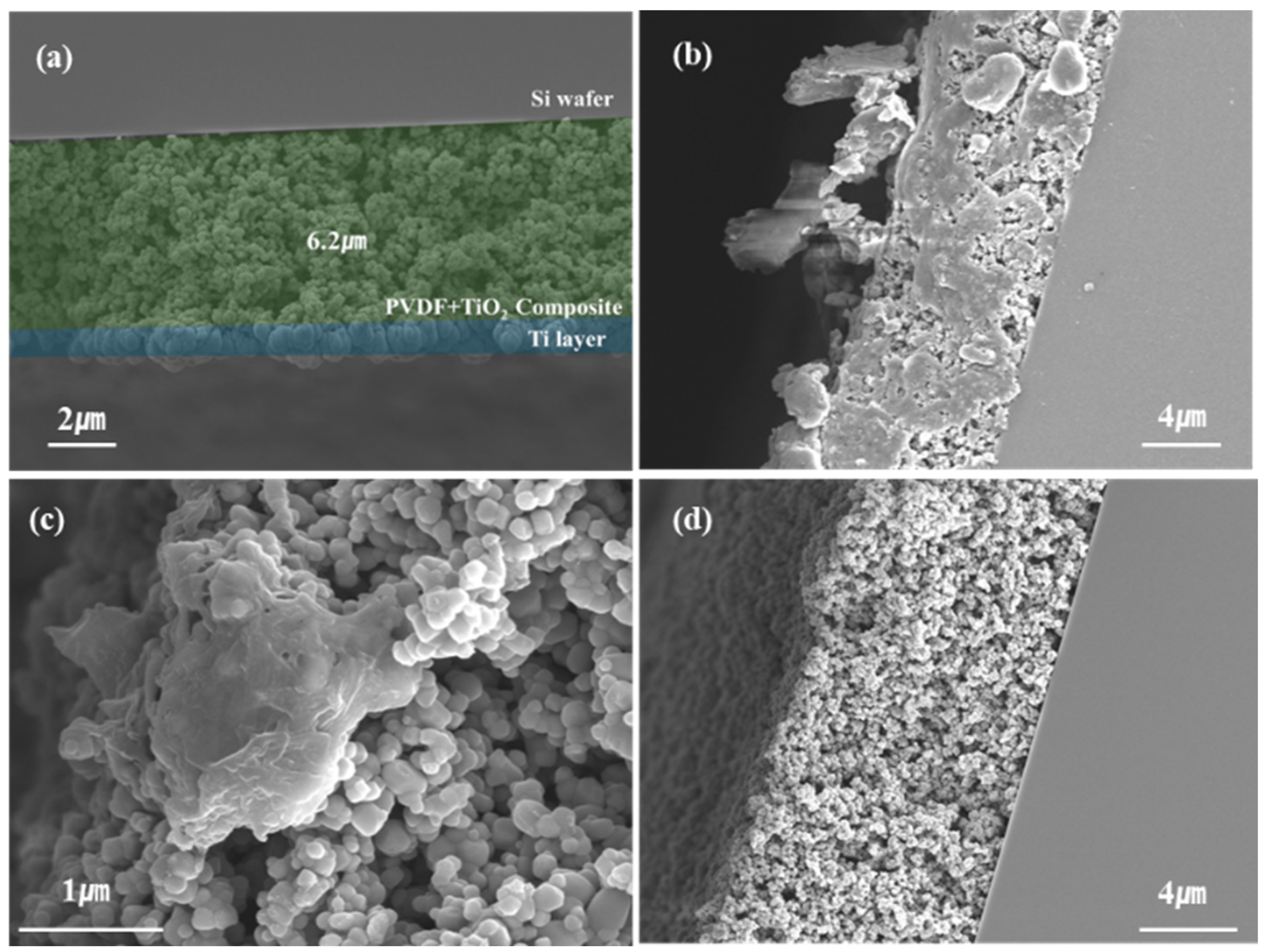 Micromachines 15 01231 g002