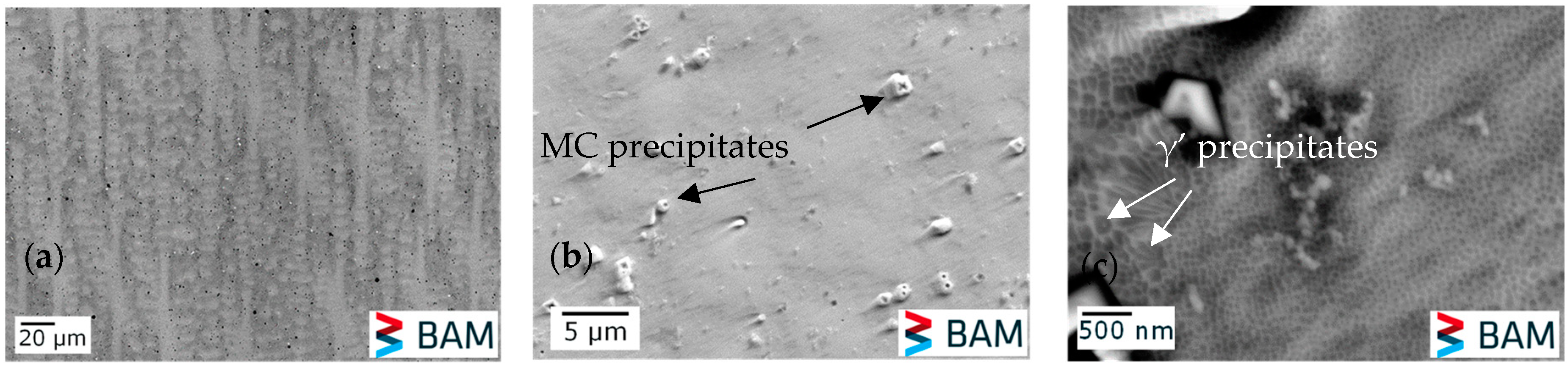 Micromachines 15 01234 g007