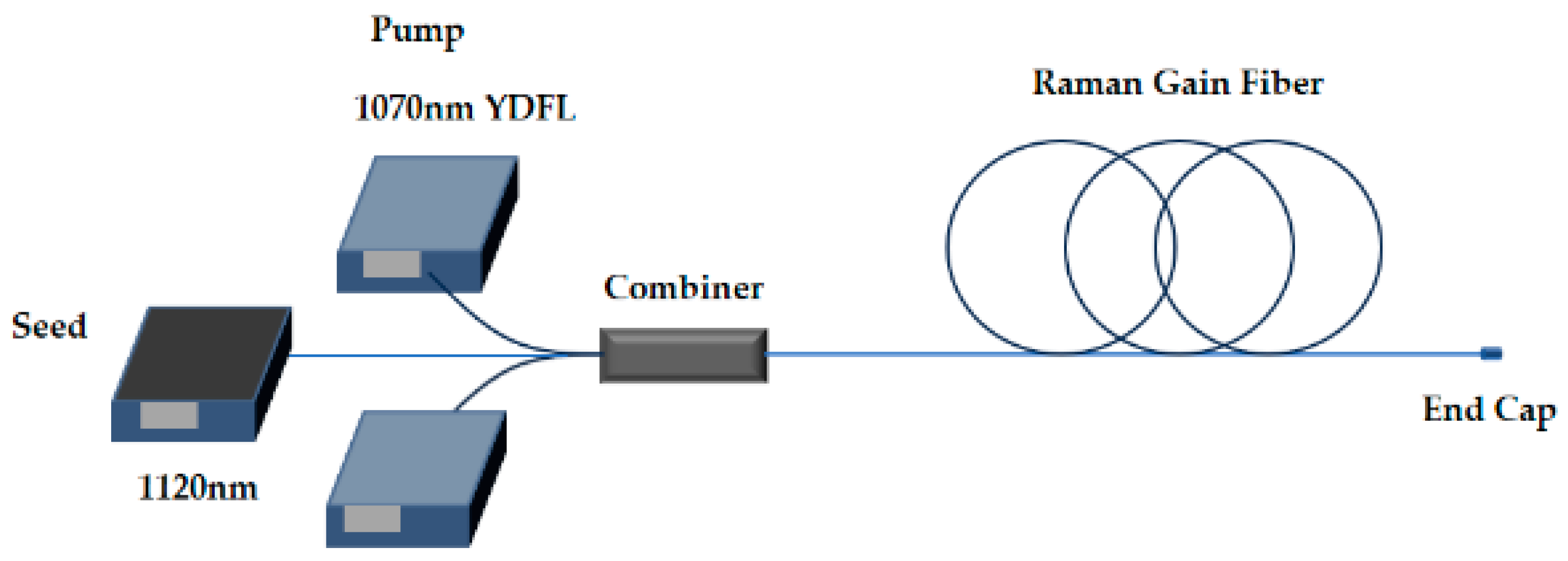 Transverse Dependencies in Fiber Amplifier and Laser Modeling