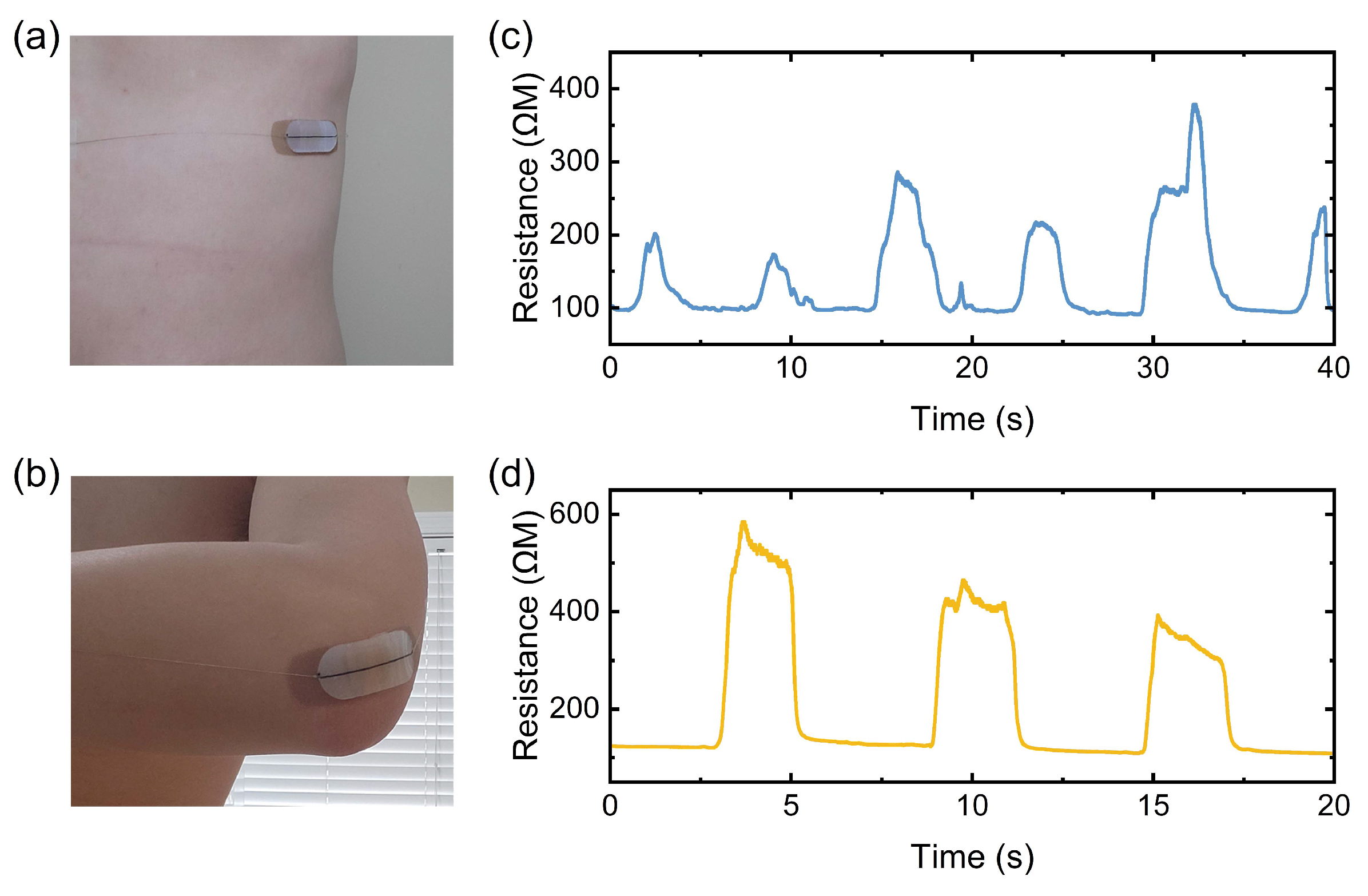 Micromachines 15 01239 g011