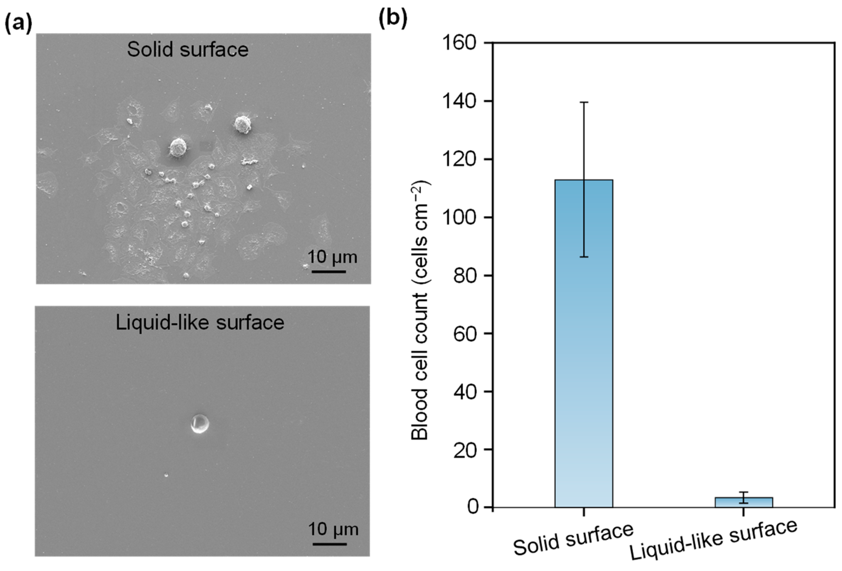 Micromachines 15 01241 g004