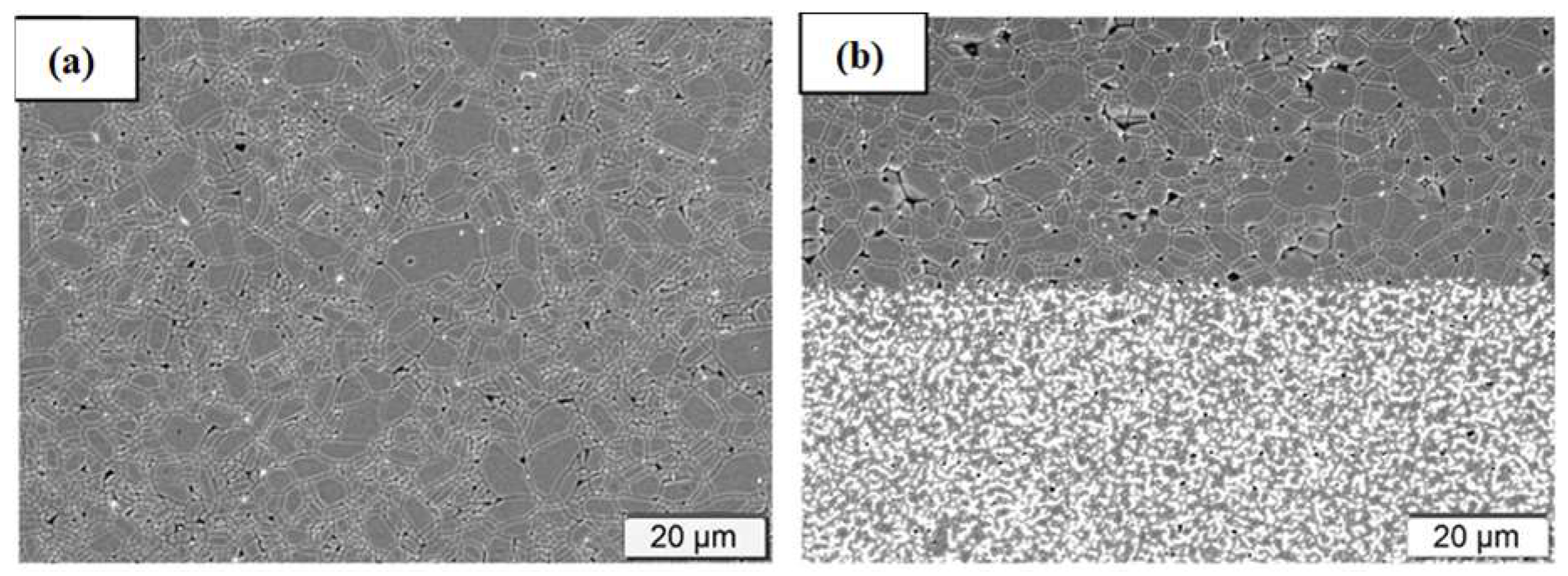 Micromachines 15 01244 g005