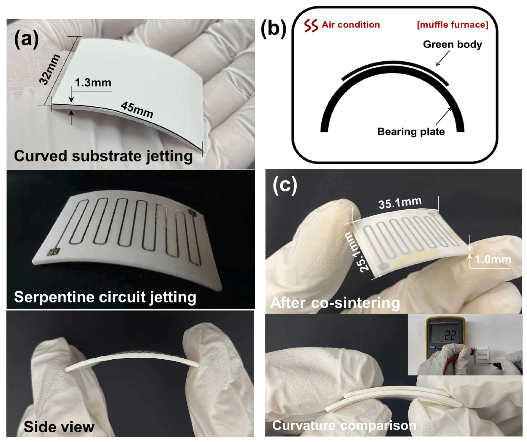 Micromachines 15 01244 g013