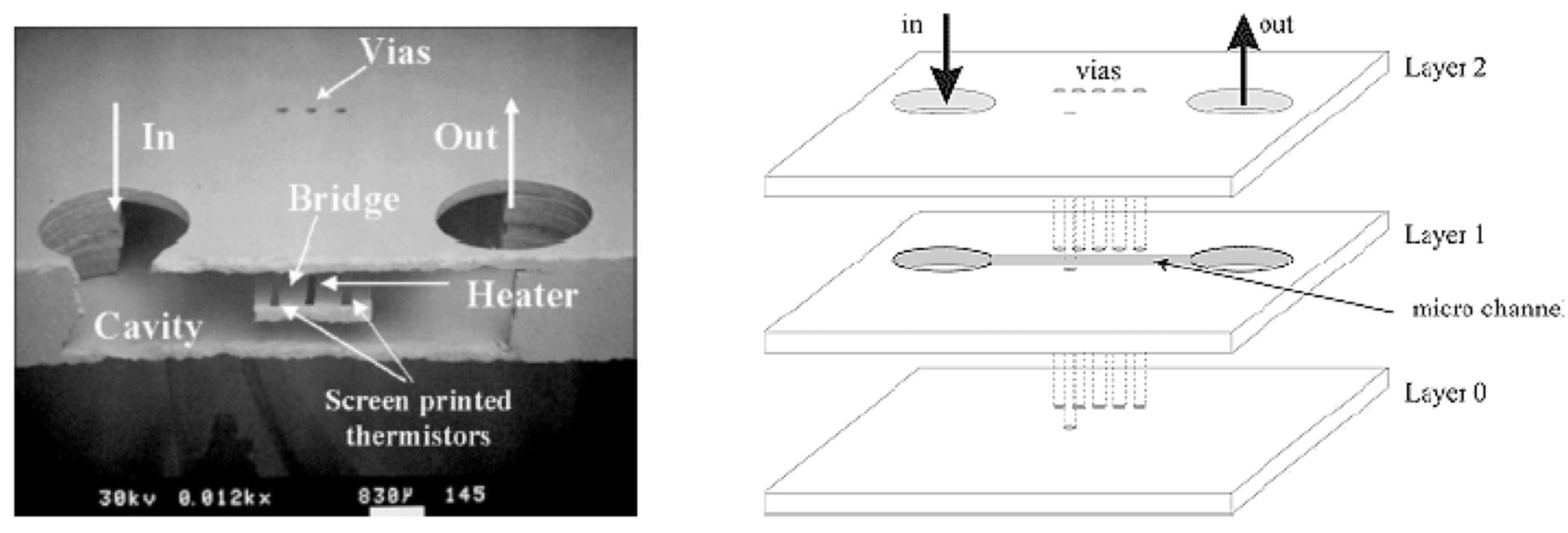 Micromachines 15 01244 g033