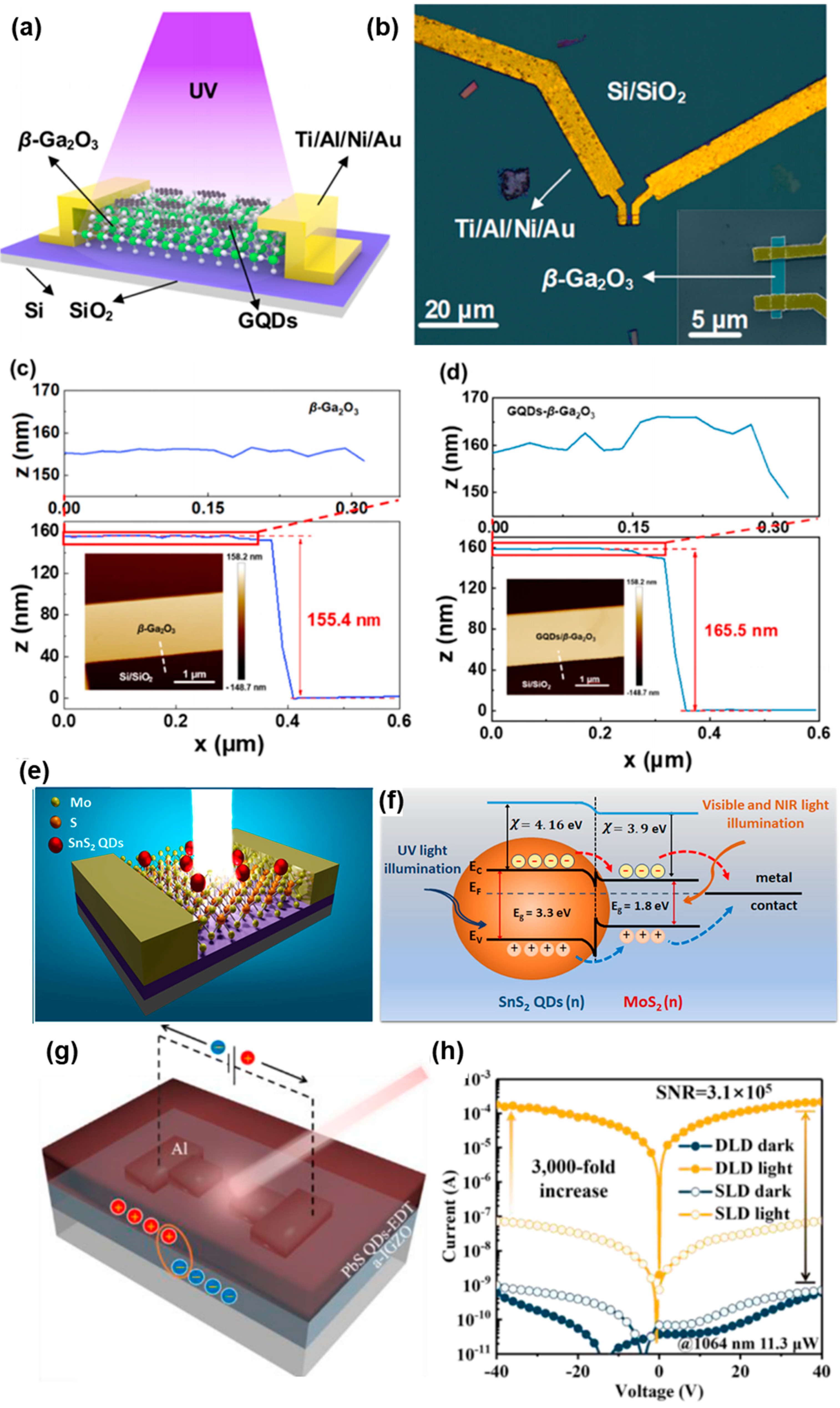 Micromachines 15 01249 g006
