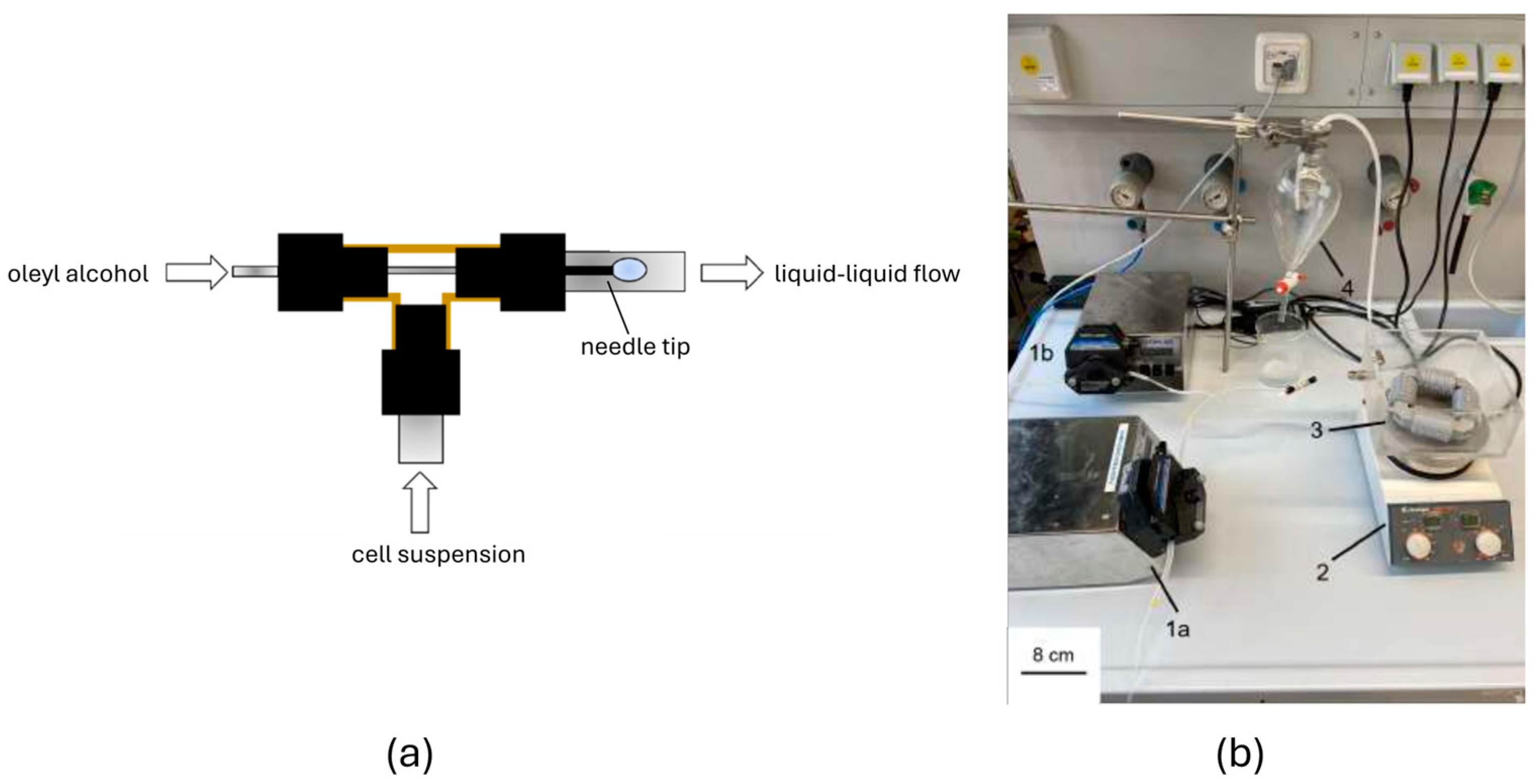 Micromachines 15 01255 g003