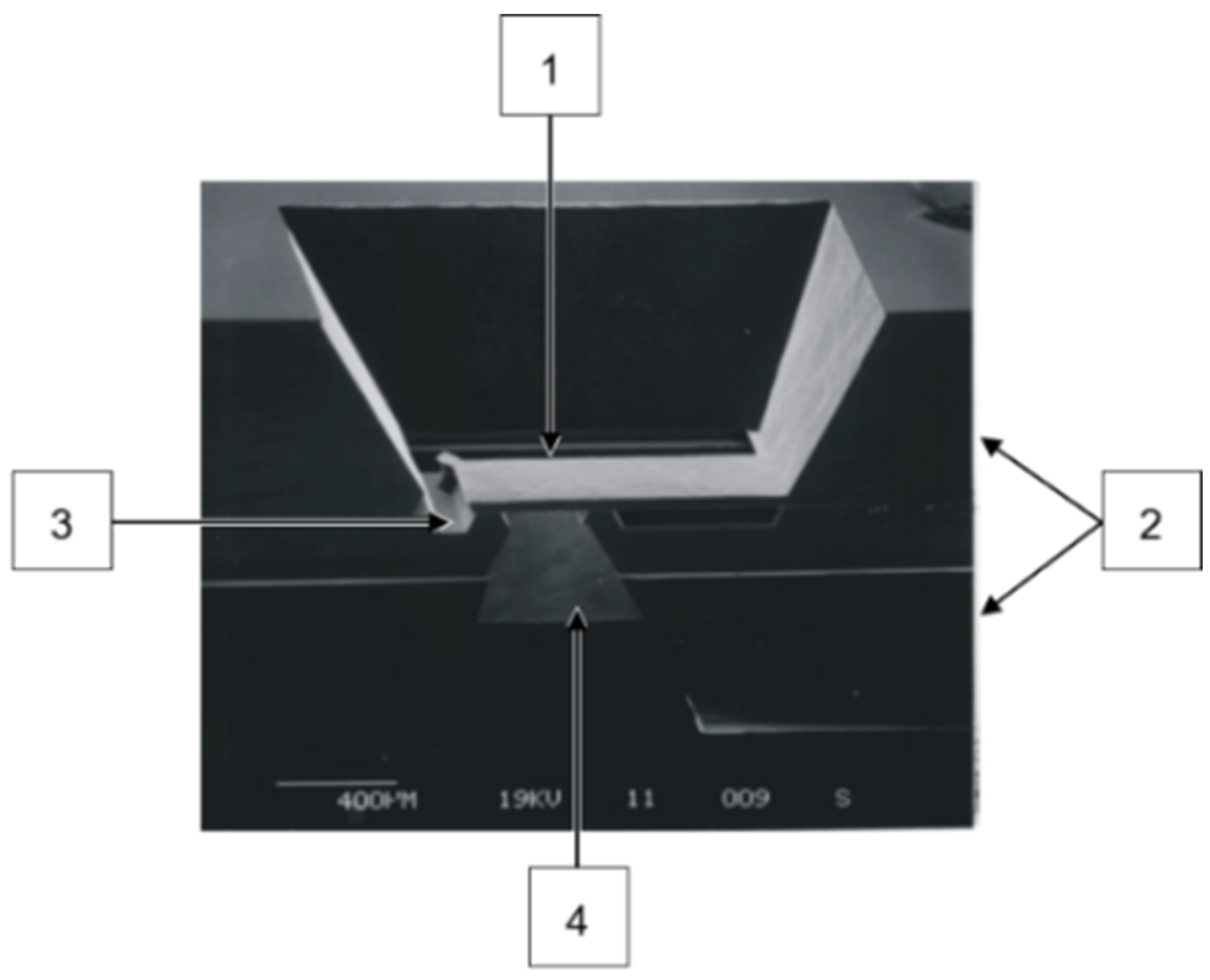 Micromachines 15 01263 g002
