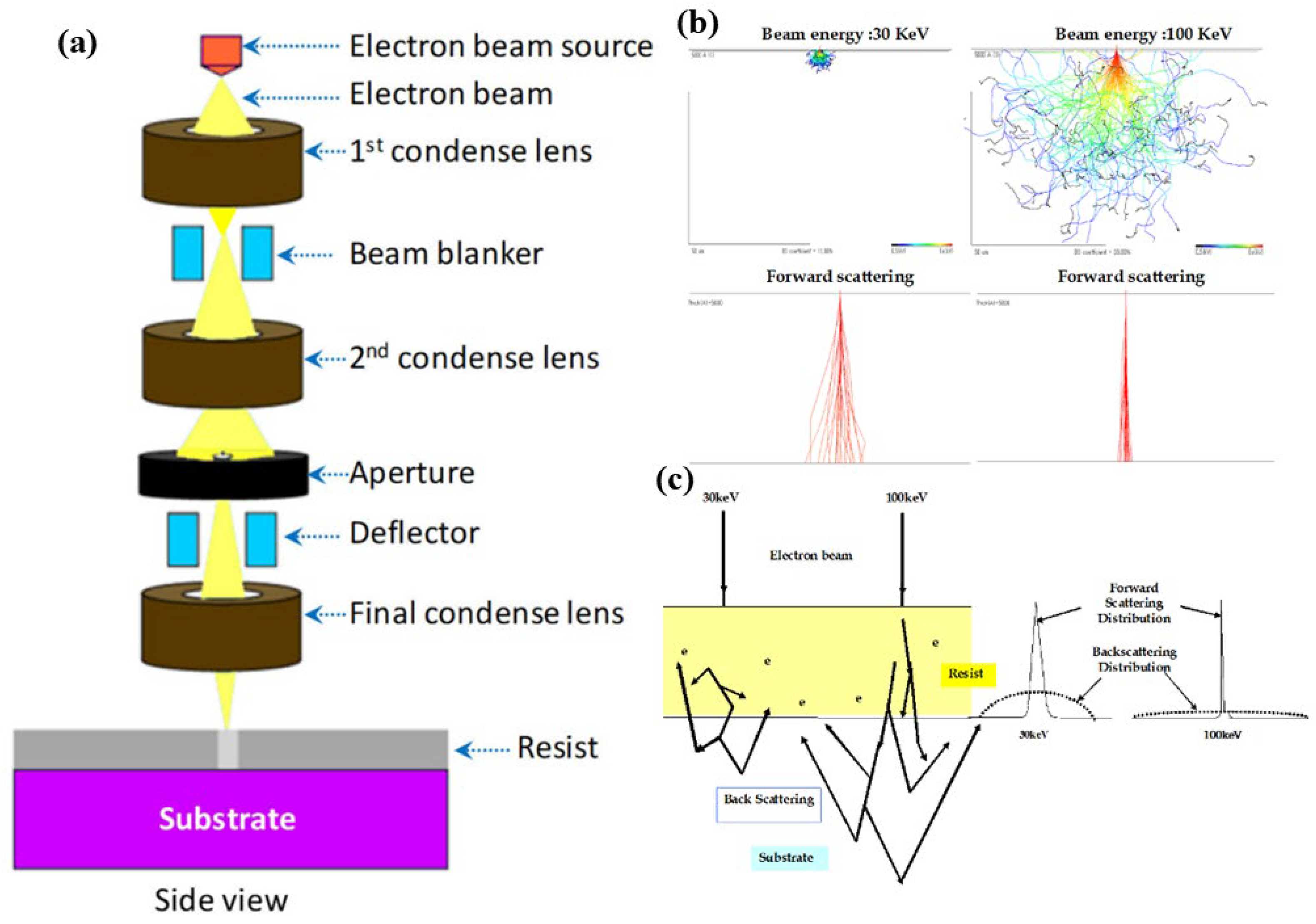 Micromachines 15 01274 g004