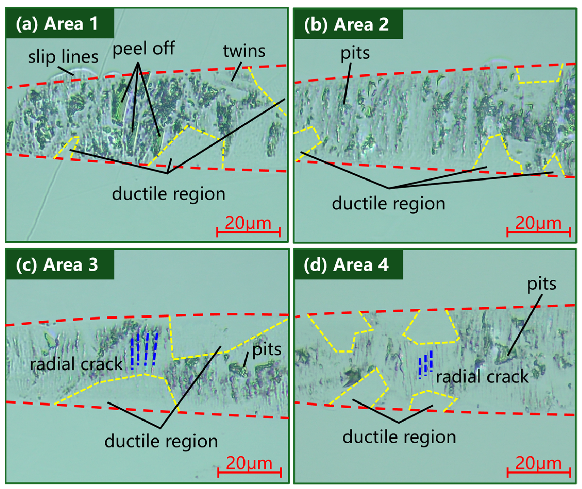 Micromachines 15 01275 g008