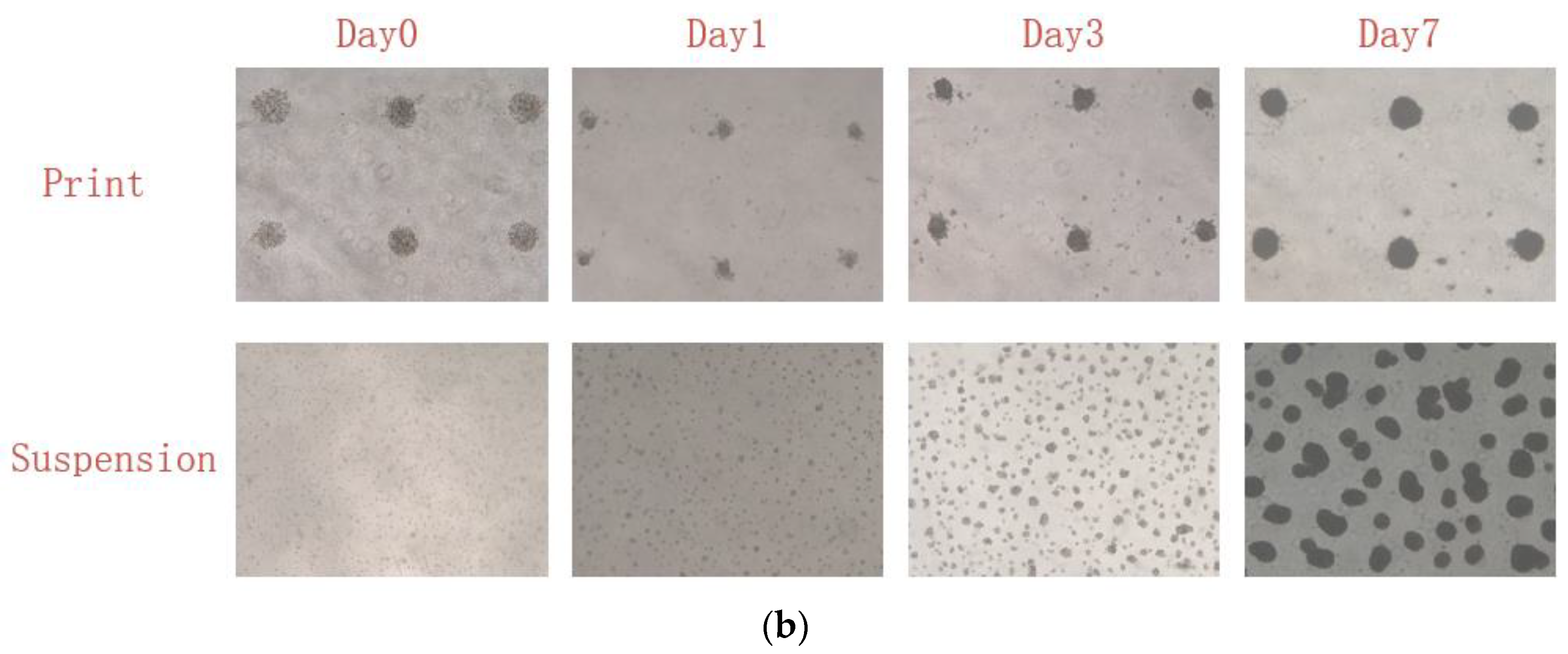 Micromachines 15 01285 g004b