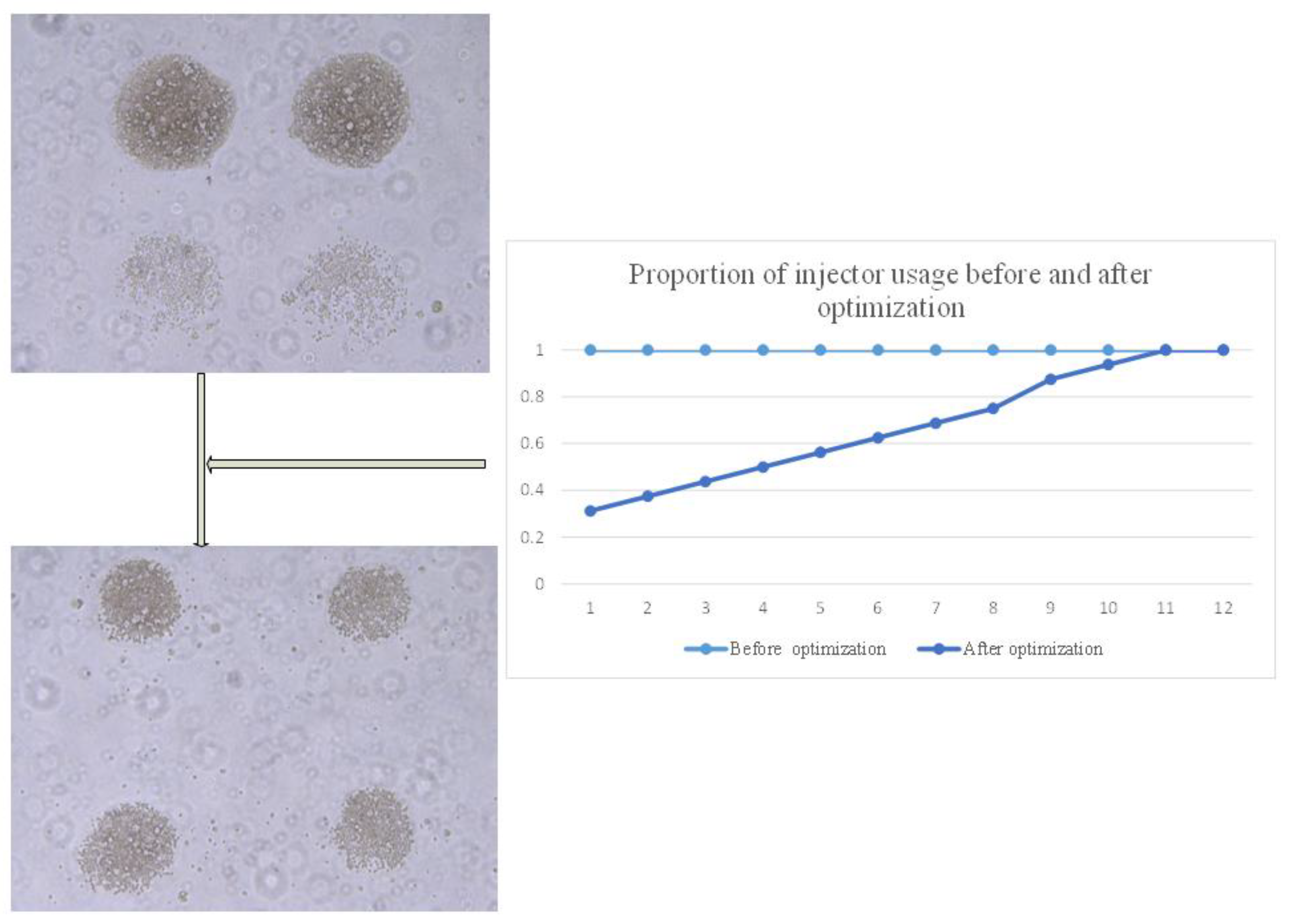 Micromachines 15 01285 g006