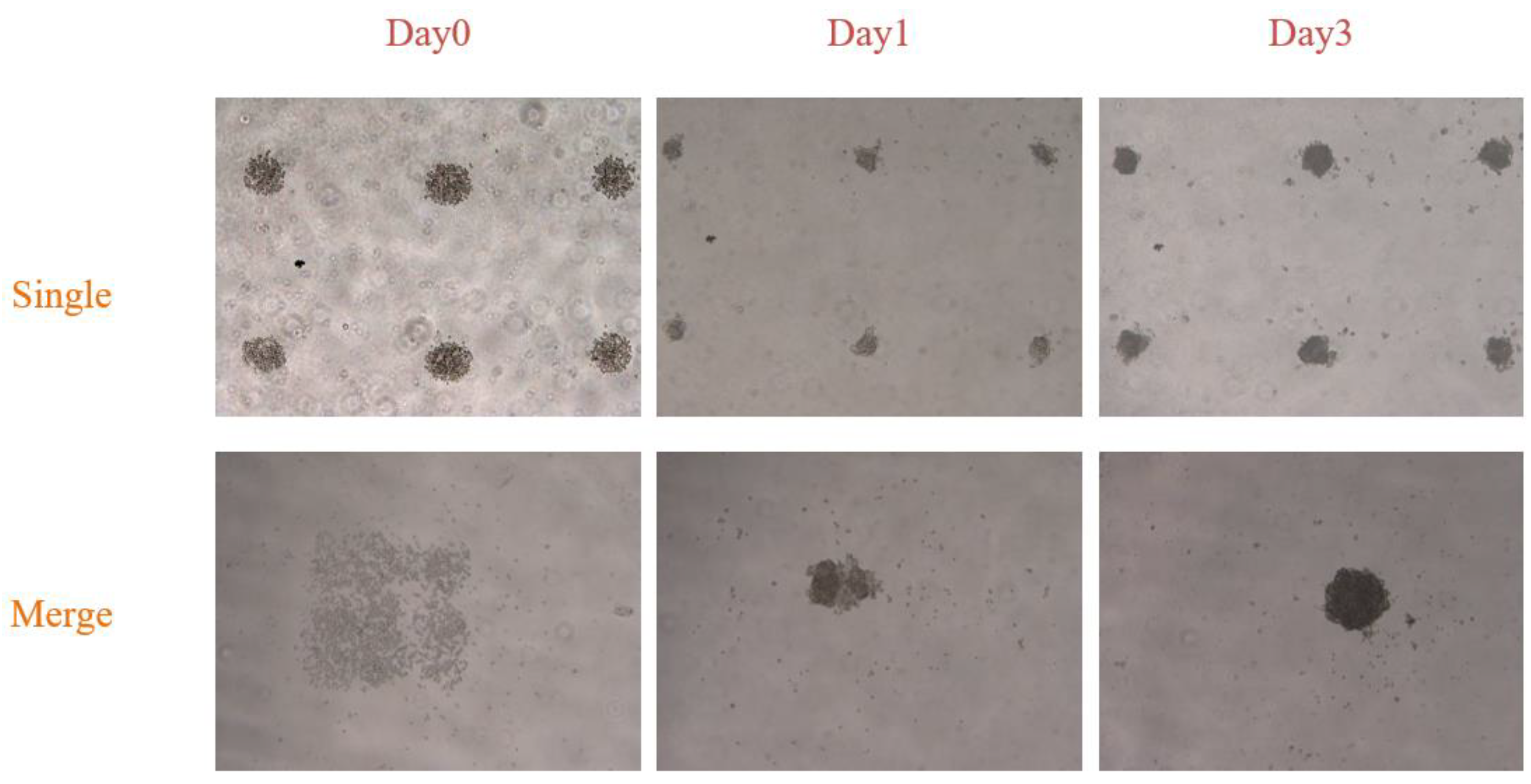 Micromachines 15 01285 g007