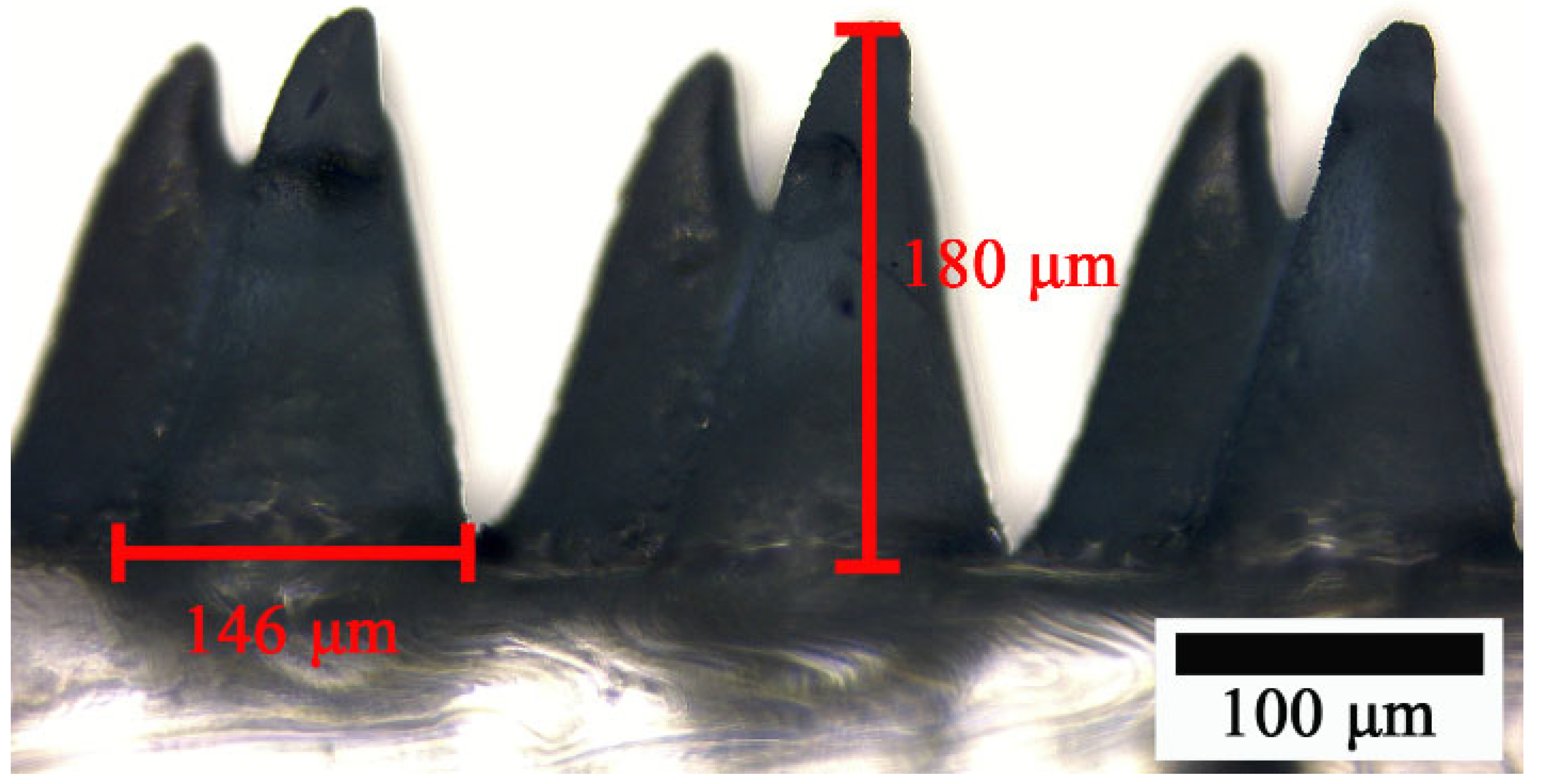 Micromachines 15 01299 g004