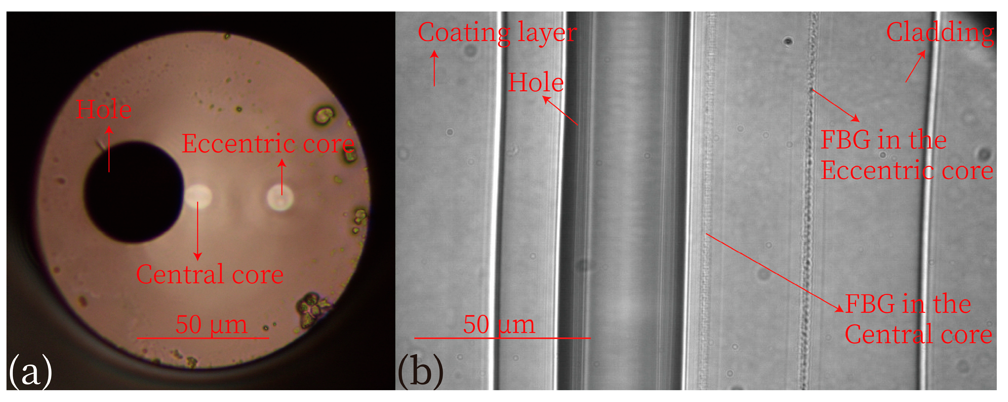 Micromachines 15 01310 g001