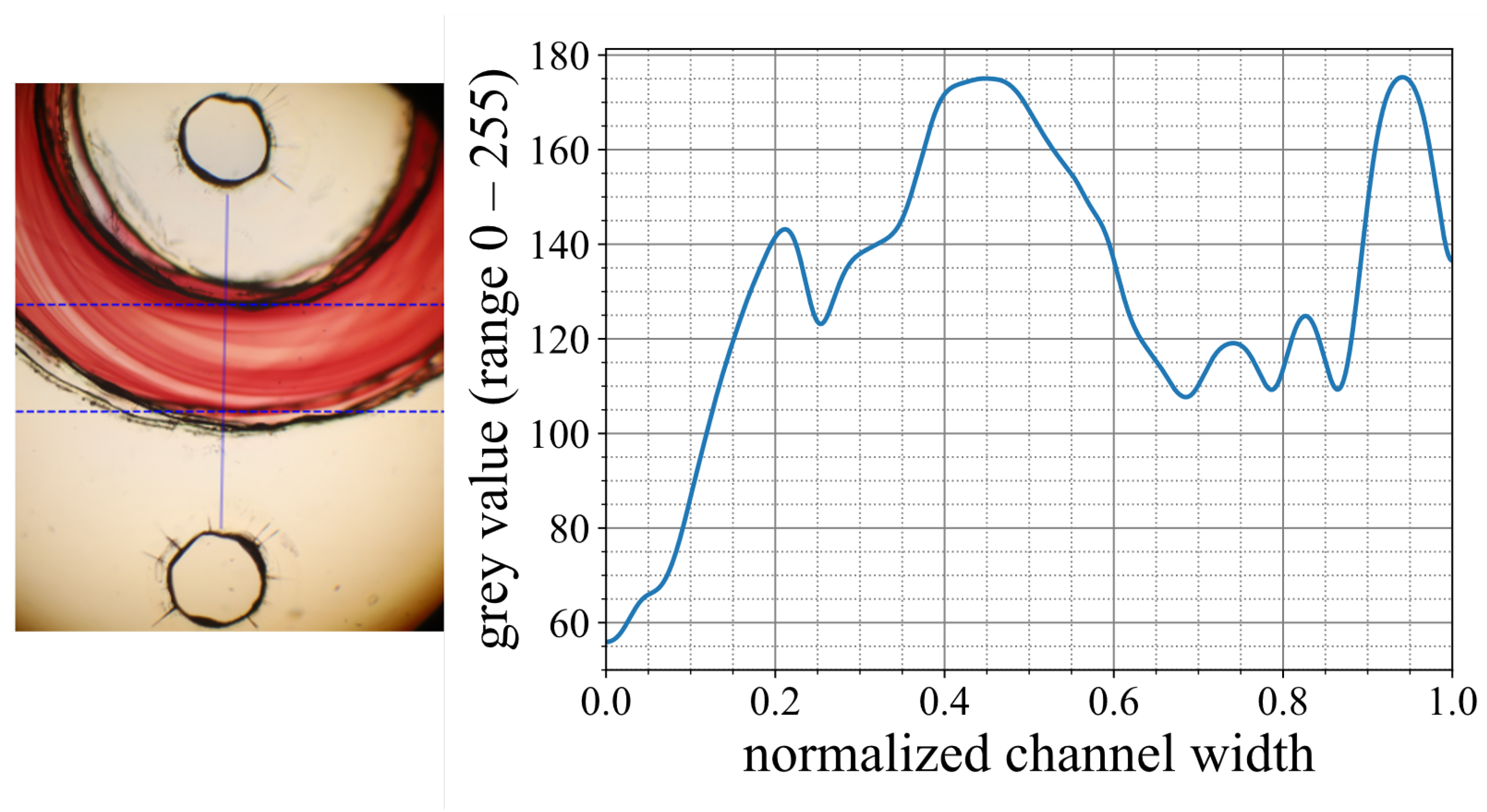 Micromachines 15 01312 g005