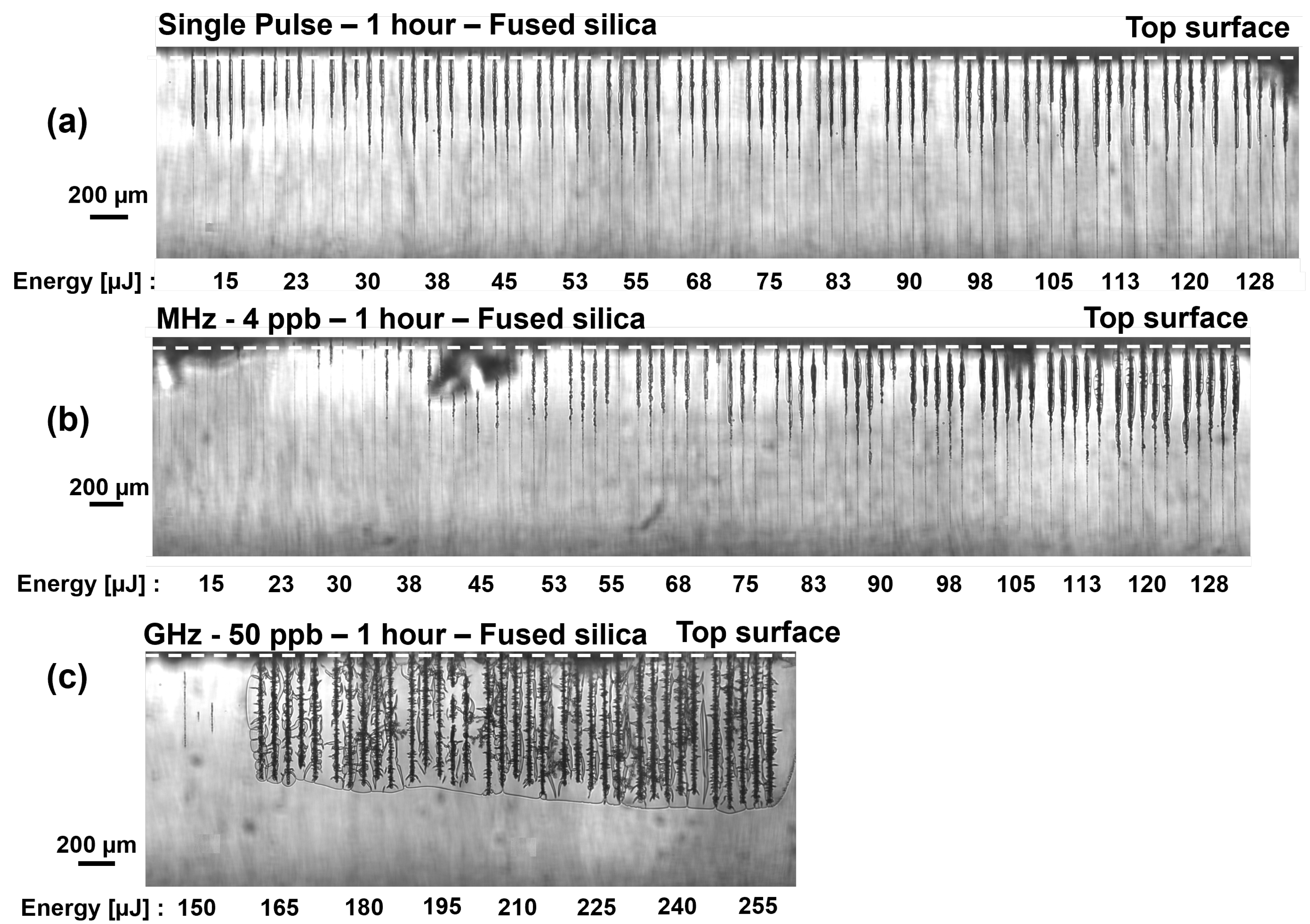 Micromachines 15 01313 g005
