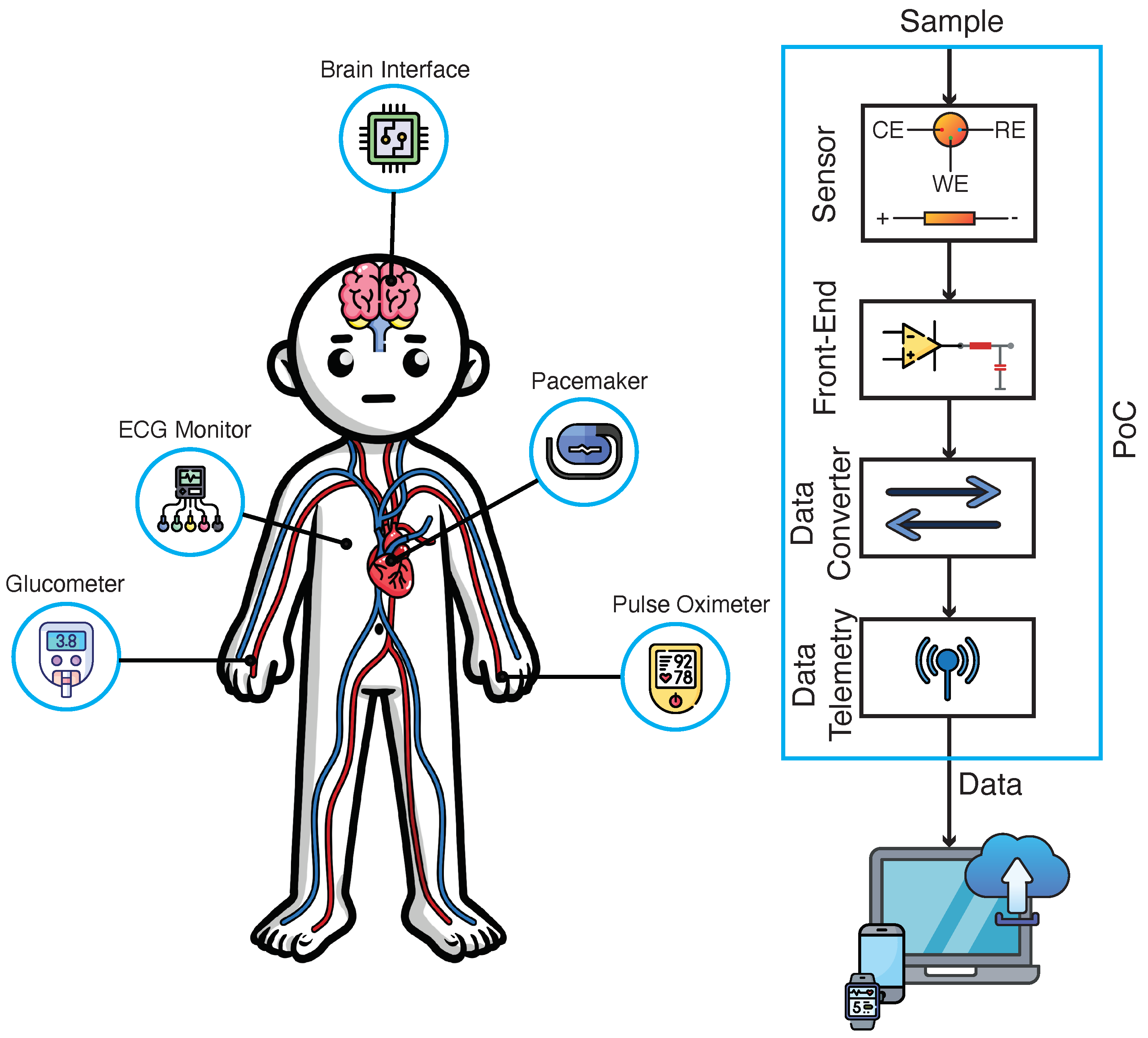 CMOS Point-of-Care Diagnostics Technologies: Recent Advances and 