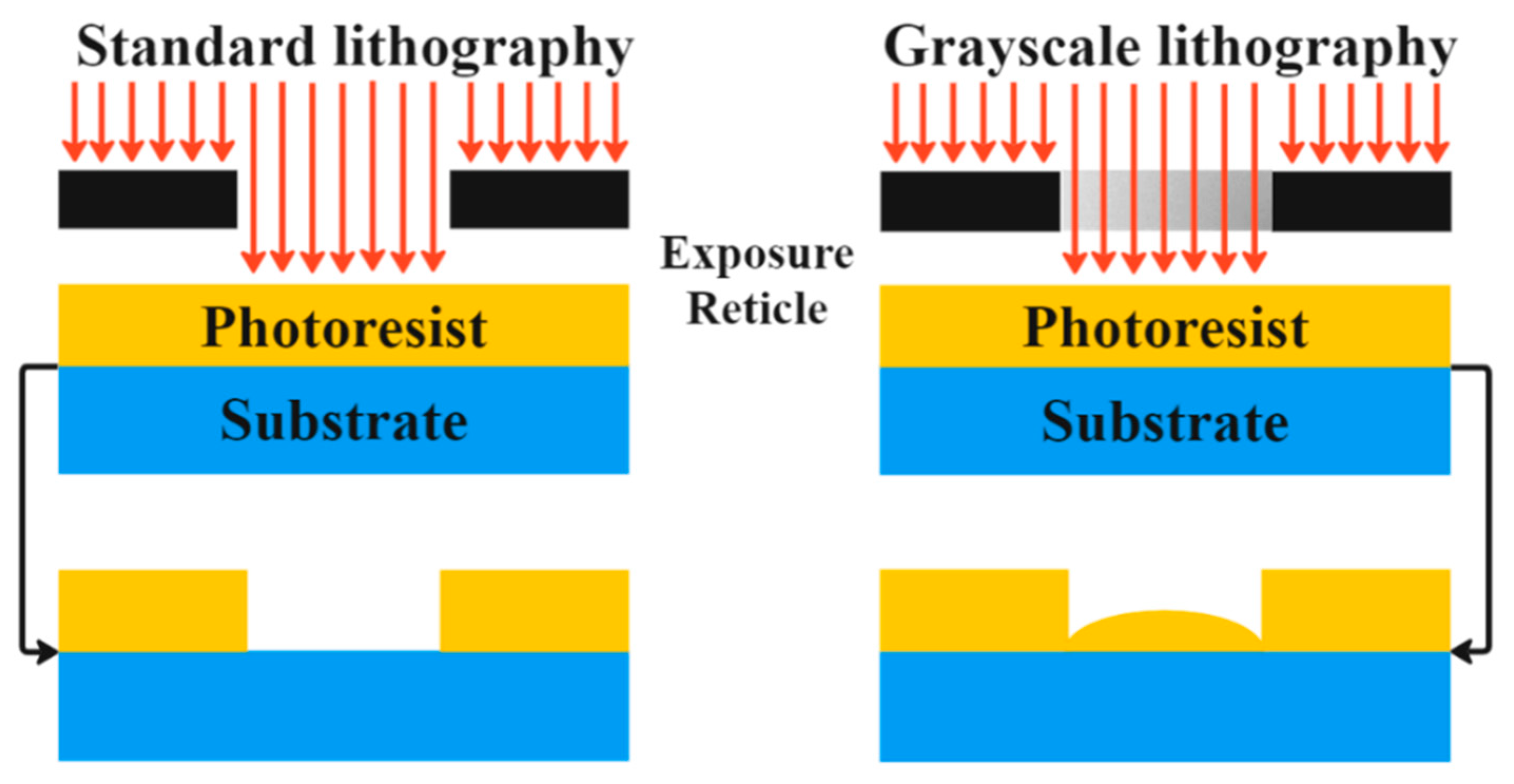 Micromachines 15 01321 g001