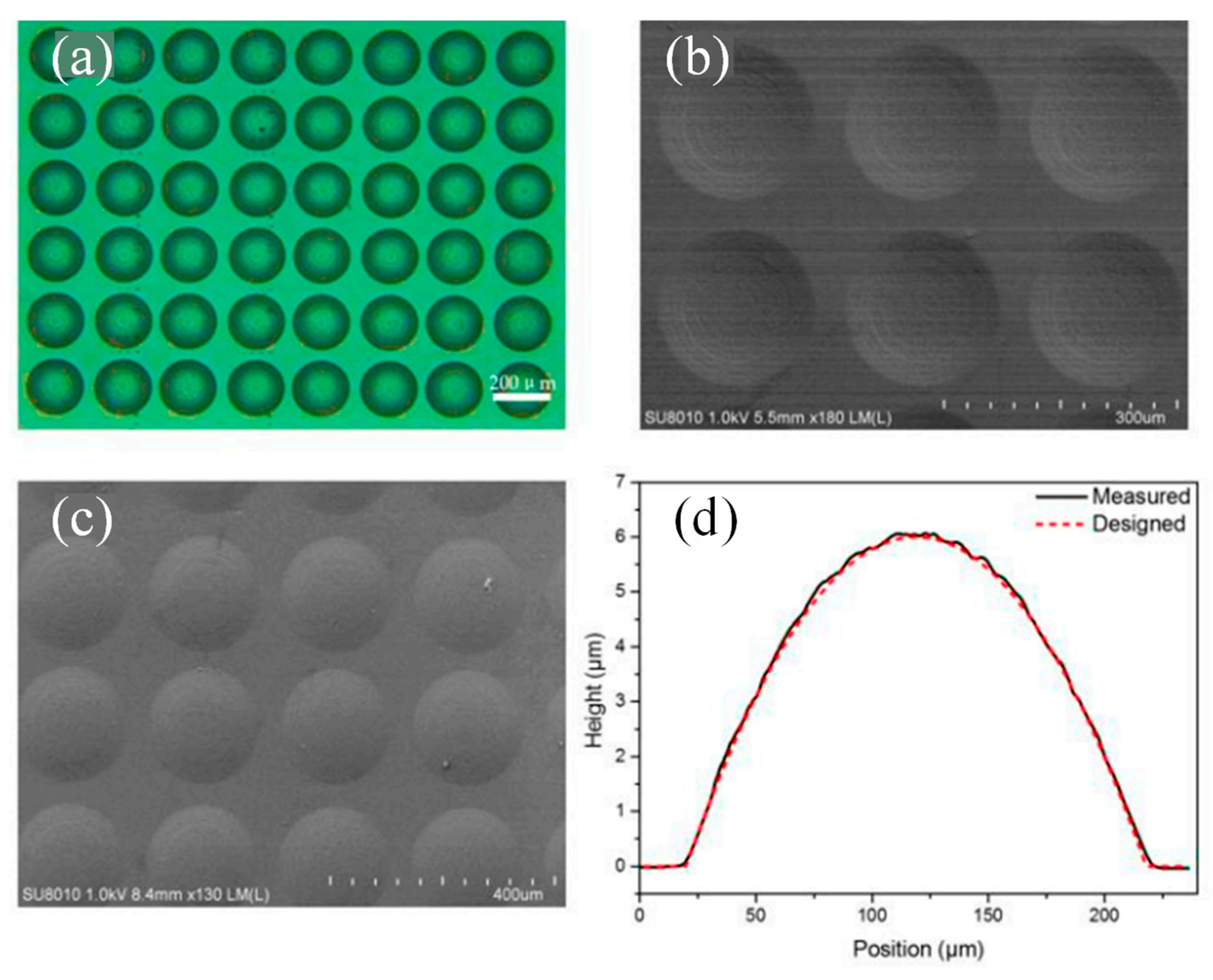 Micromachines 15 01321 g007