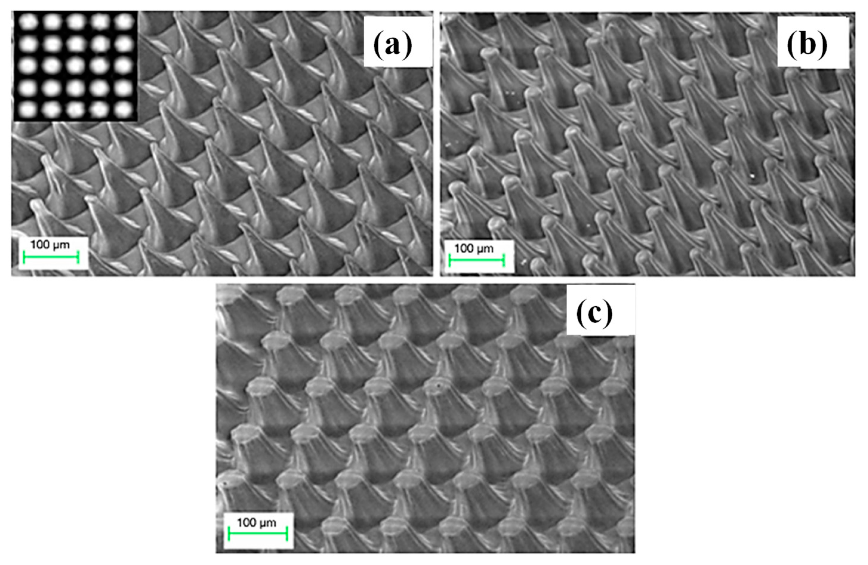 Micromachines 15 01321 g008
