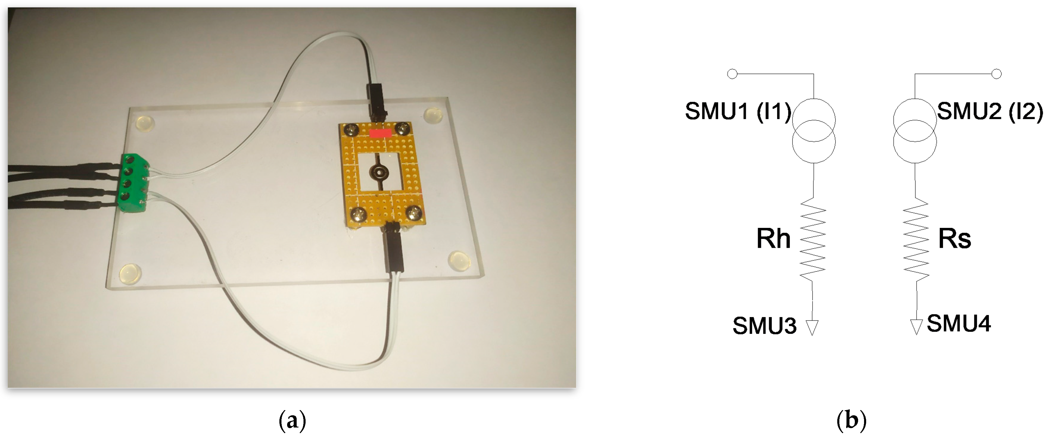 Micromachines 15 01325 g006