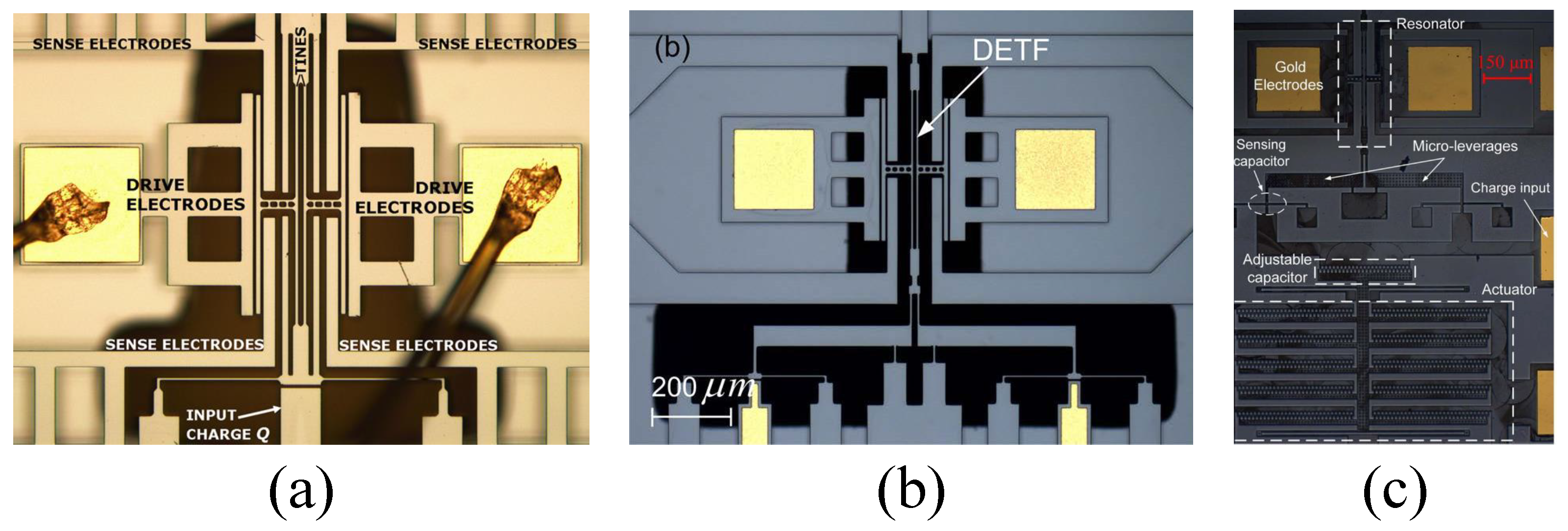 Micromachines 15 01333 g018