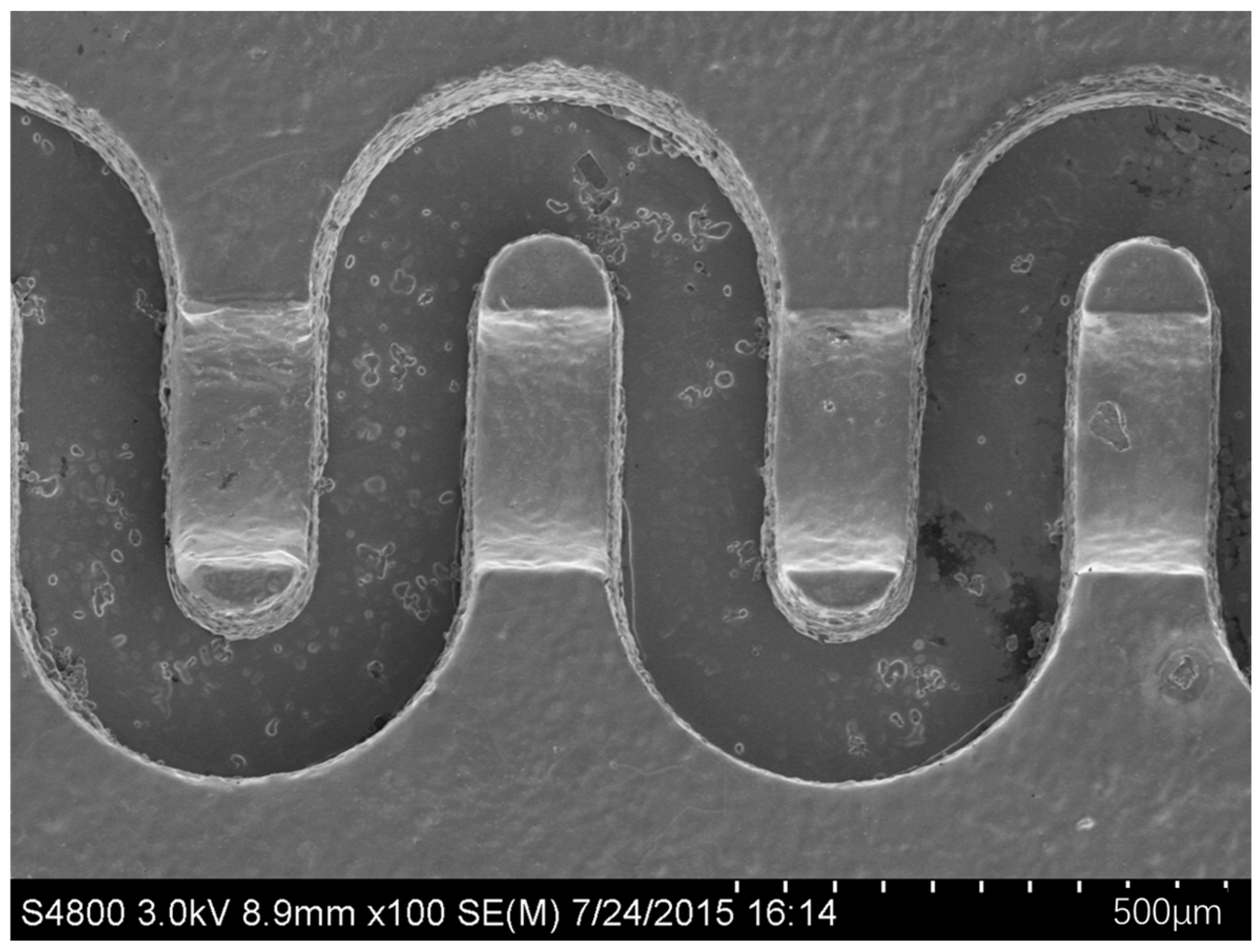 Micromachines 15 01357 g008