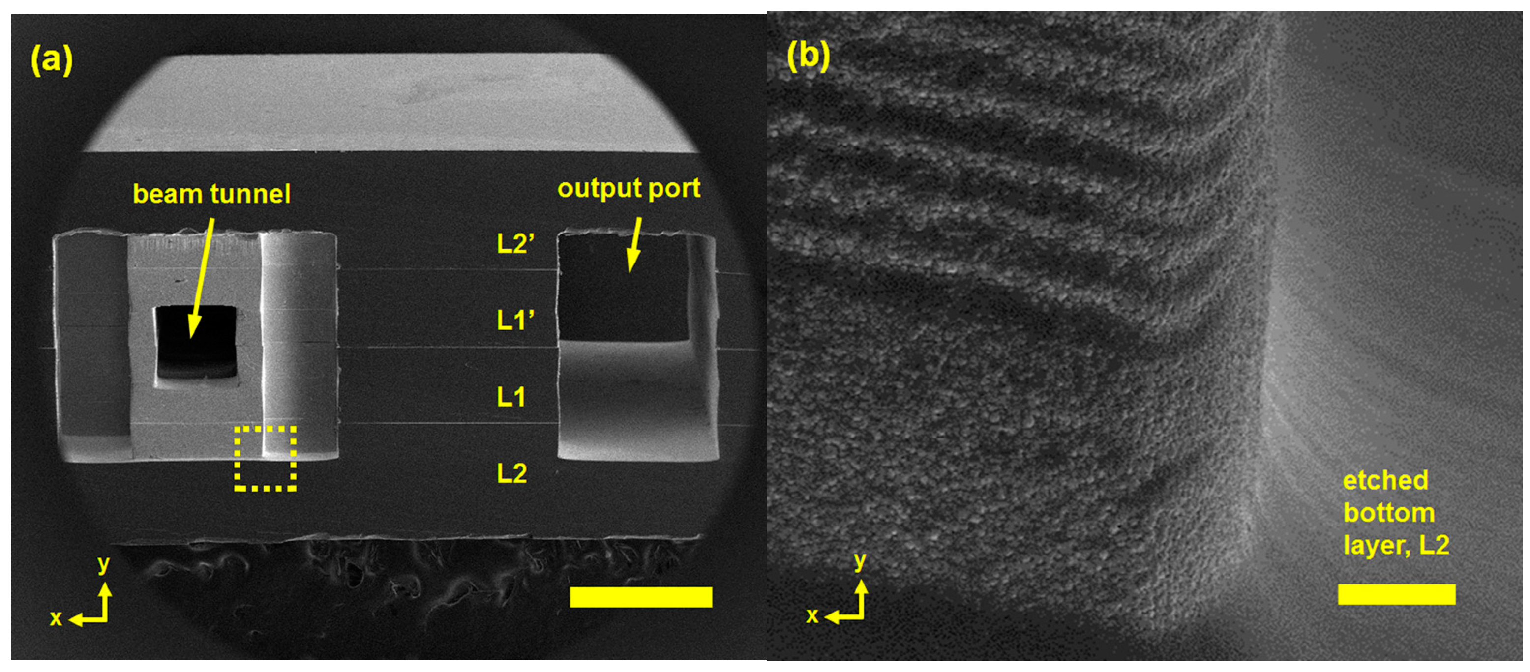 Micromachines 15 01357 g012