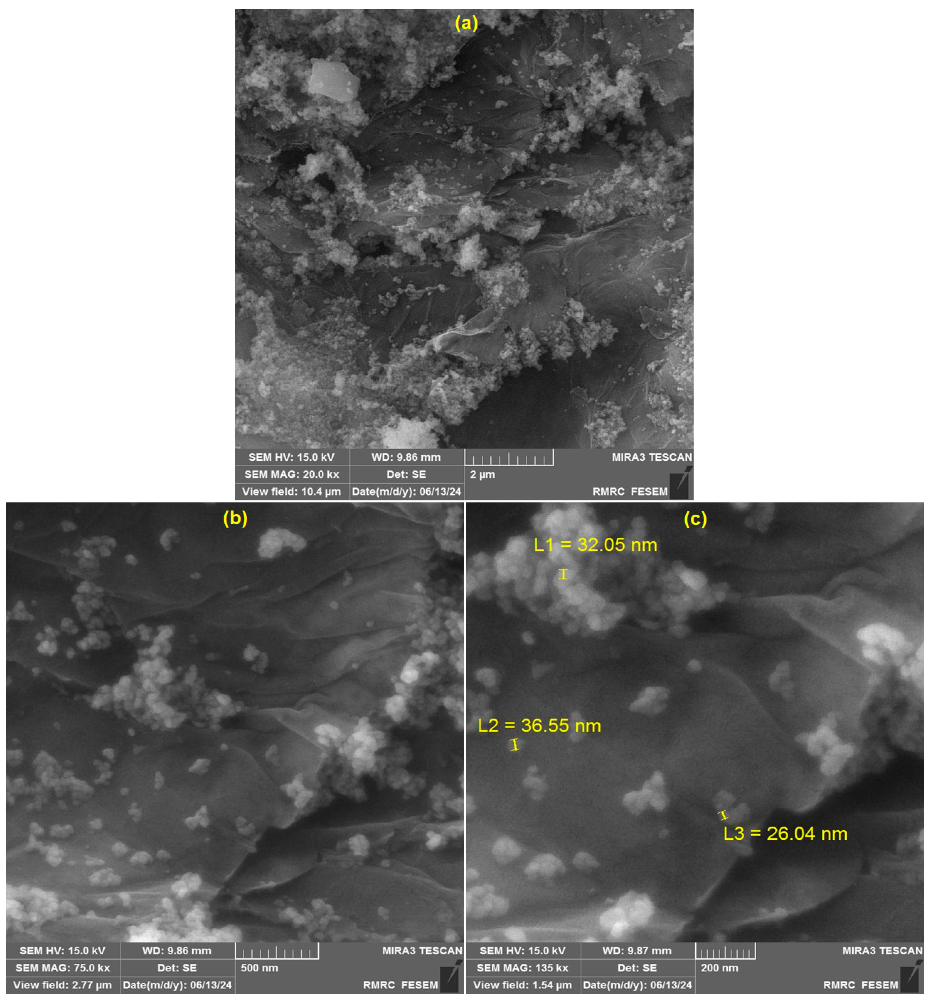 Micromachines 15 01360 g002