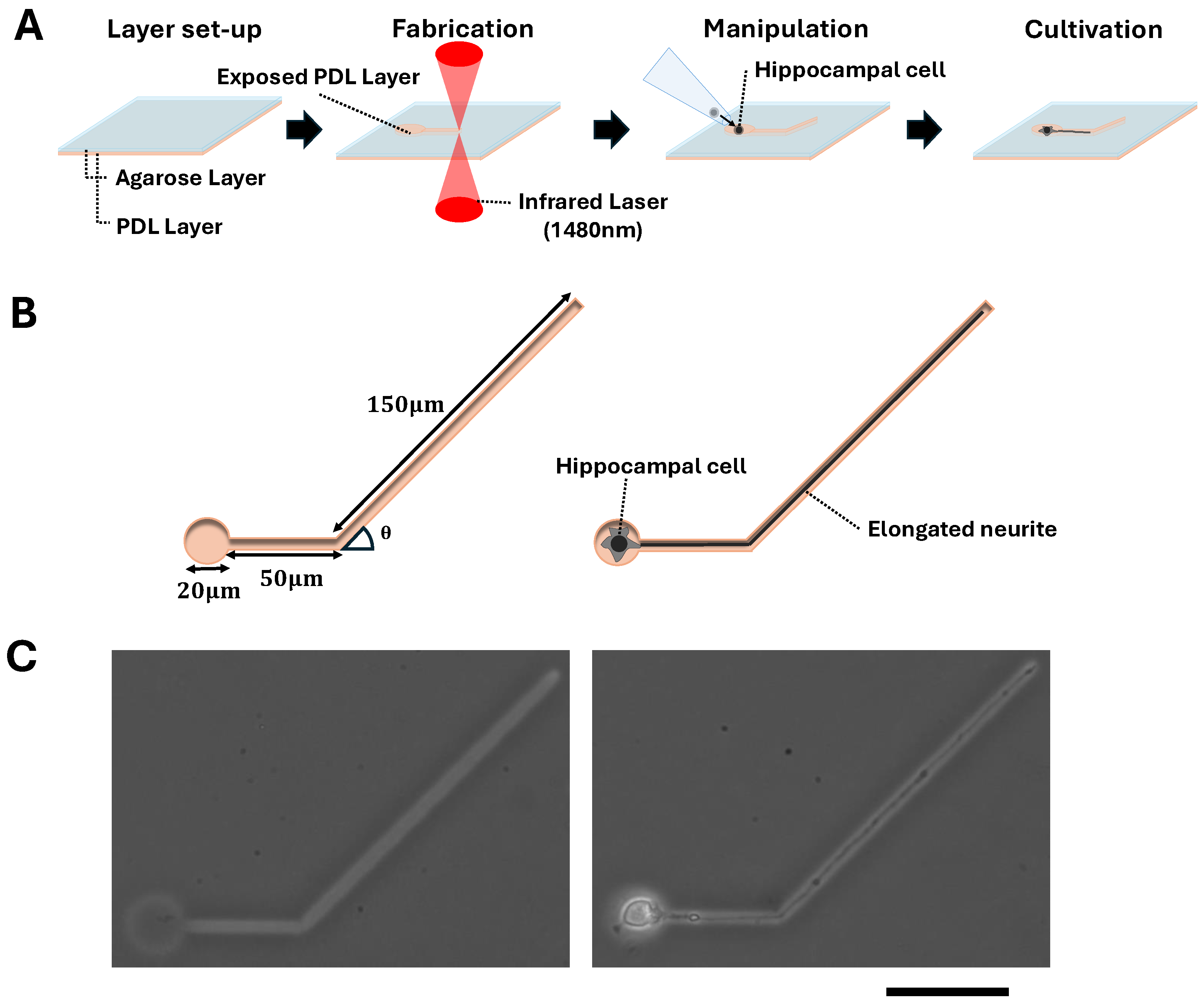 Micromachines 15 01374 g001