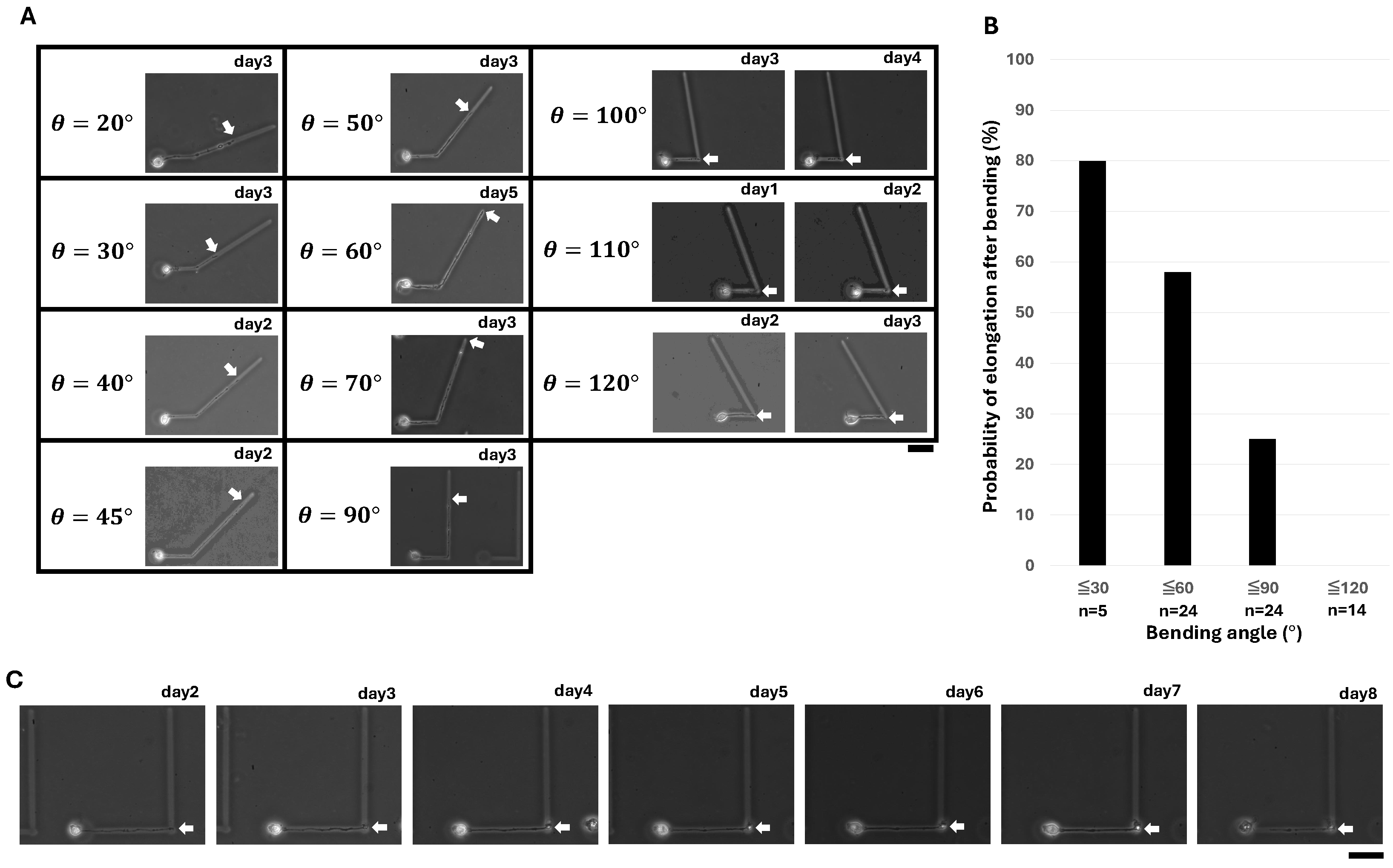 Micromachines 15 01374 g002