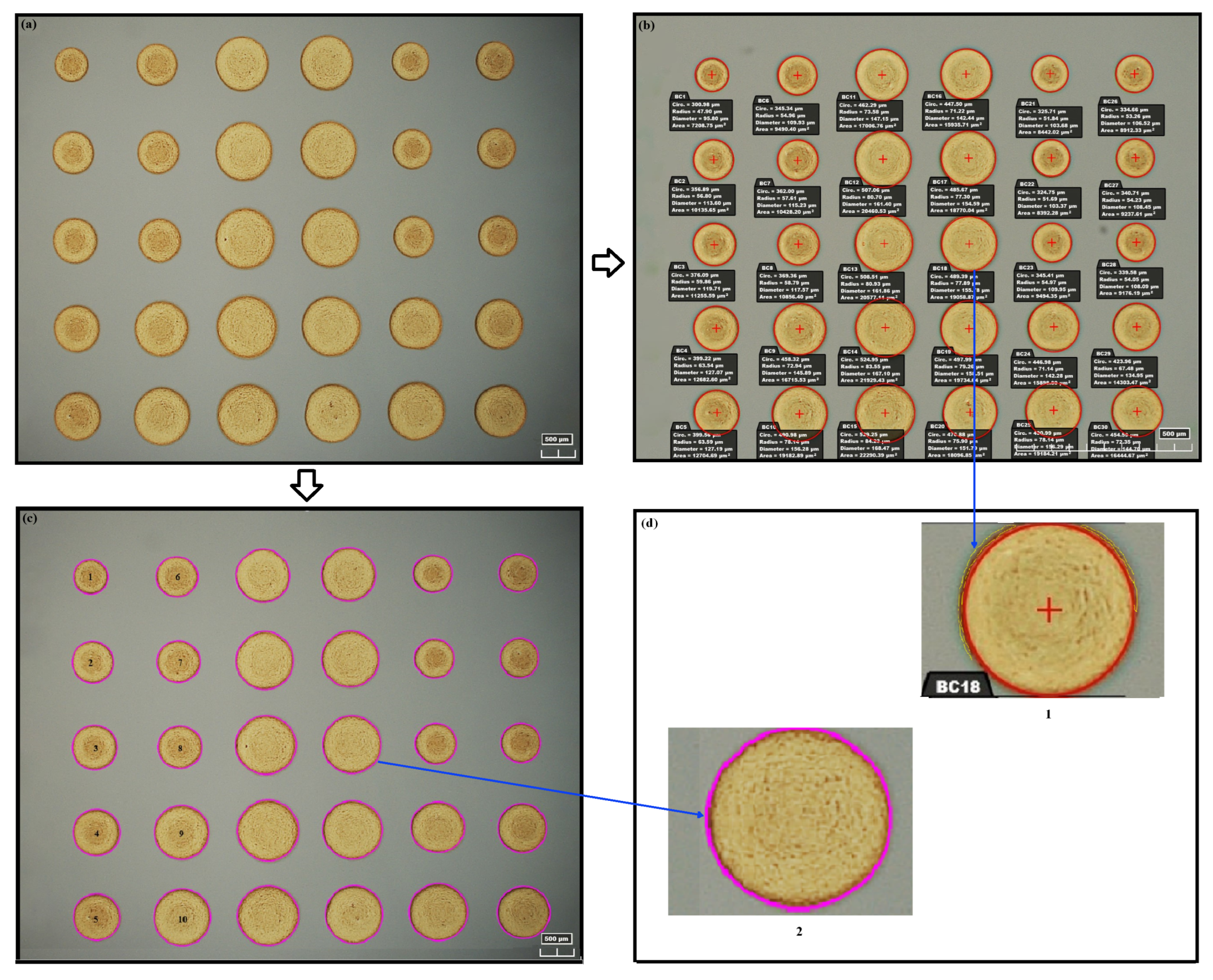 Micromachines 15 01376 g006