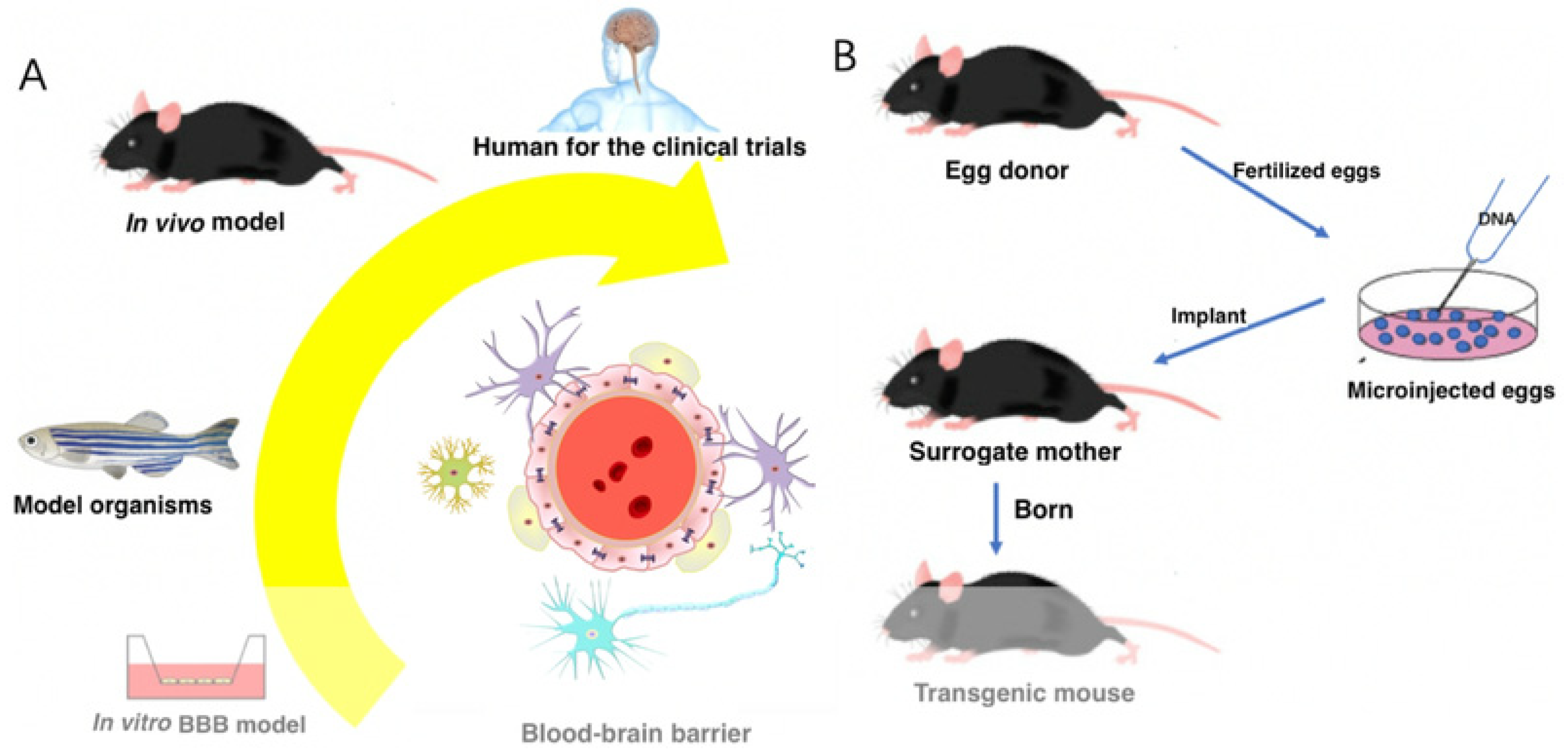 Micromachines 15 01382 g002