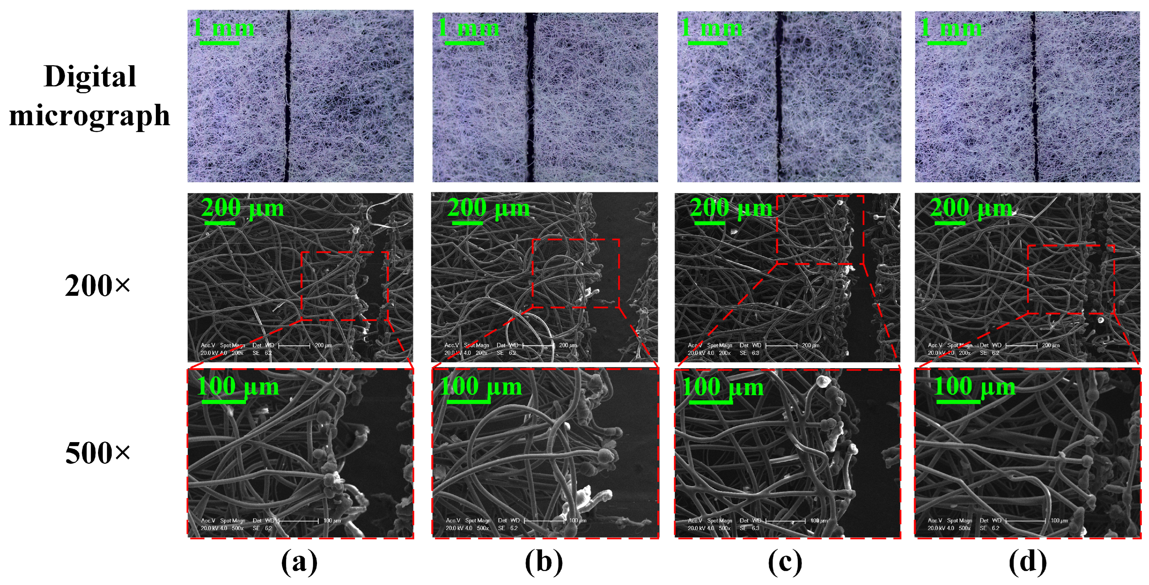 Micromachines 15 01390 g005