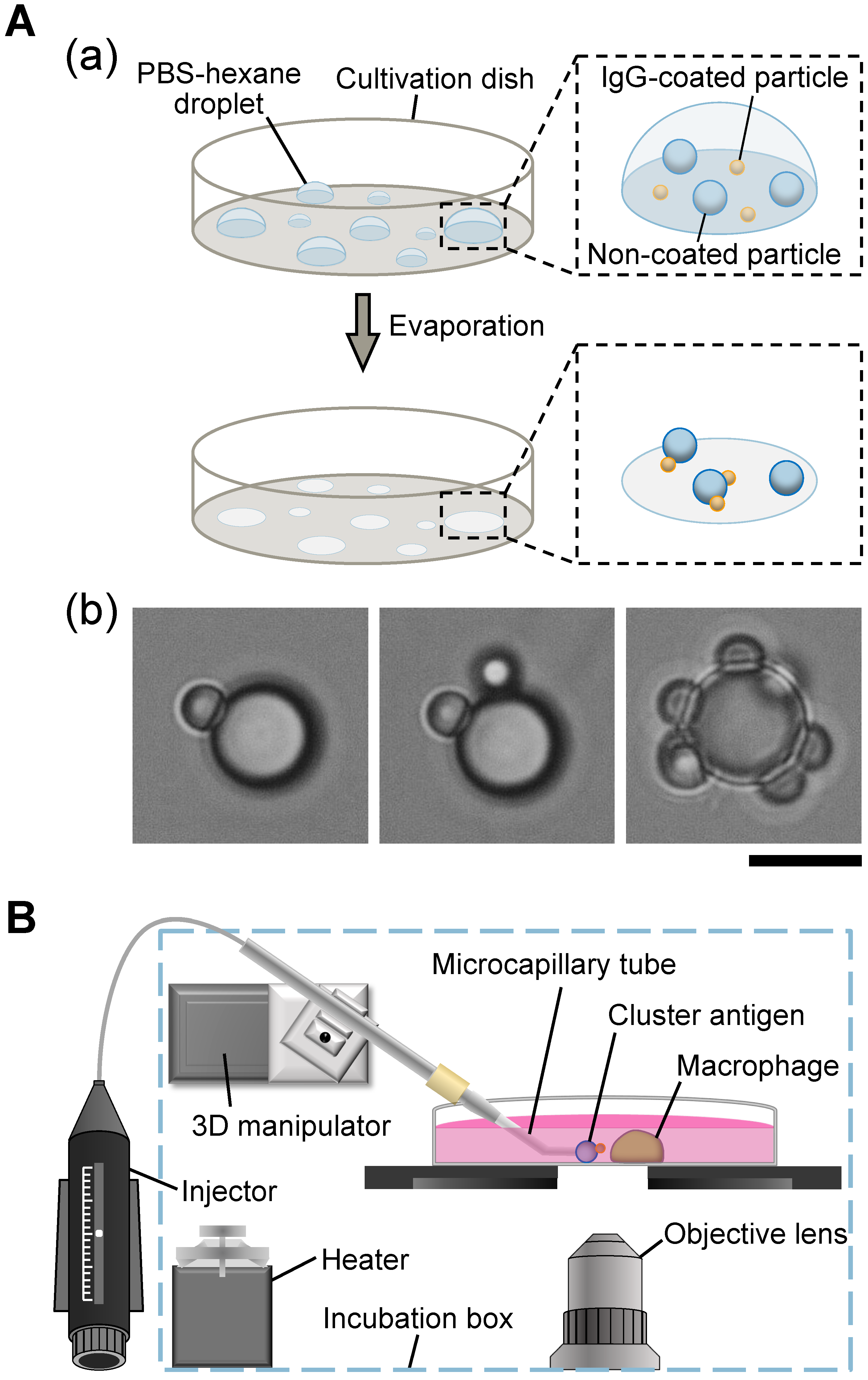 Micromachines 15 01394 g001